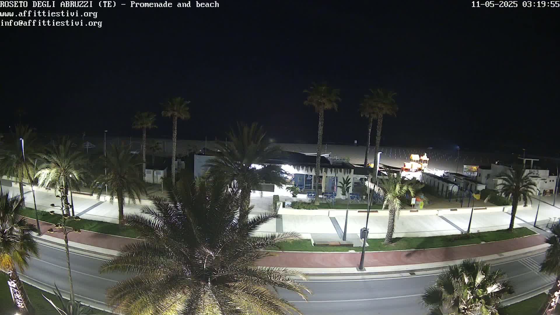 A nighttime view of a beach promenade and beach, lined with palm trees, with a road running alongside.