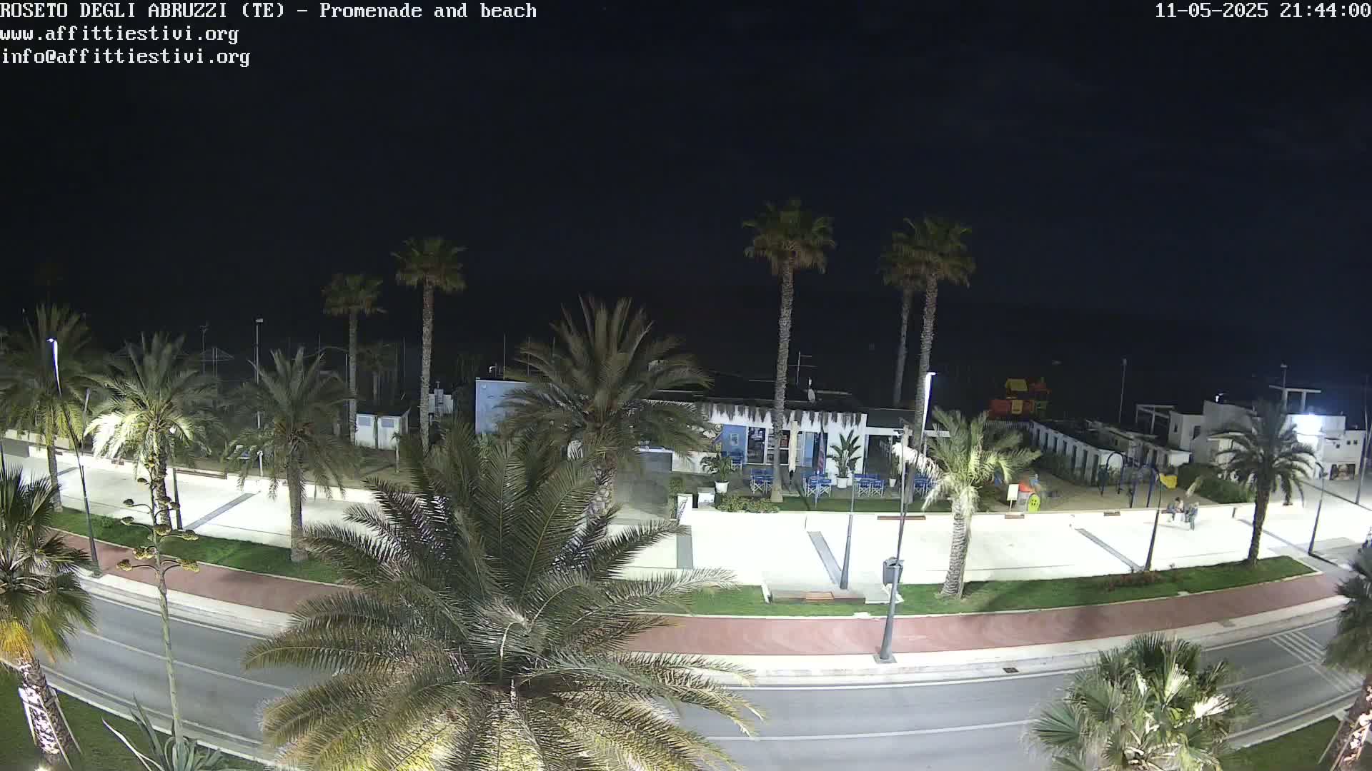 A nighttime overhead view of a beachfront promenade lined with palm trees, showing a roadway, a beach, and a building near the water under a clear, dark sky.
