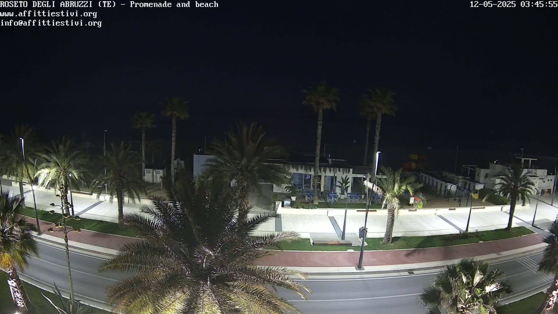 A nighttime, high-angle view shows a mostly empty promenade and beach lined with palm trees, a road, and some buildings.