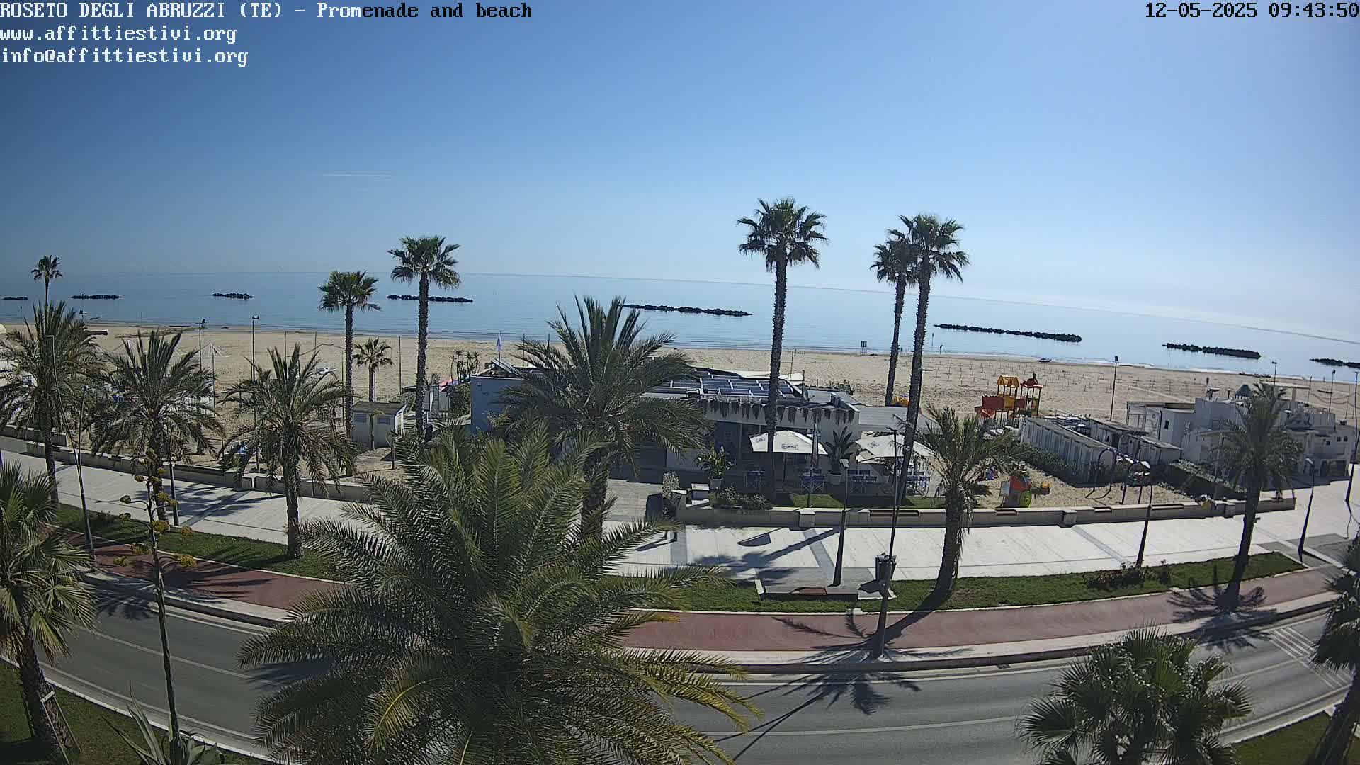 A sunny day at a beach with palm trees lining a promenade beside a calm sea.