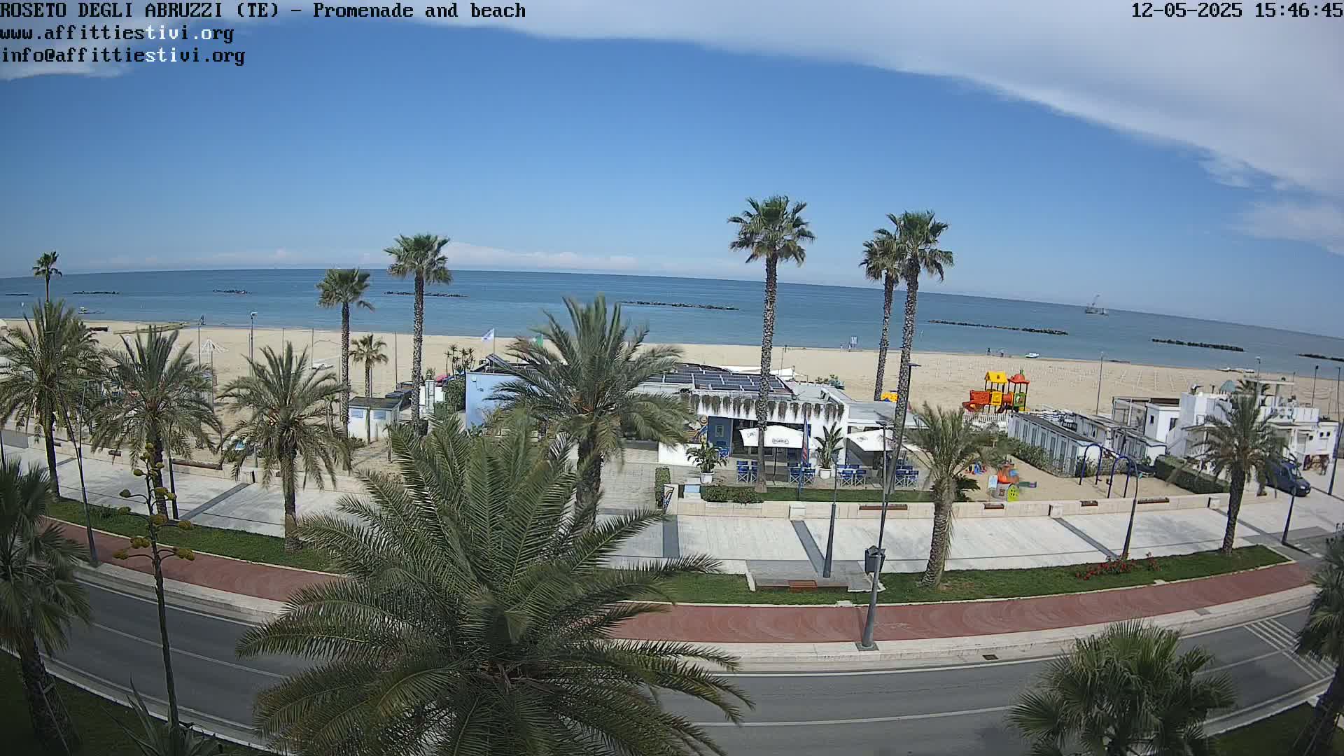 A sunny day at a beachside promenade shows palm trees lining a paved walkway next to a sandy beach and calm ocean.