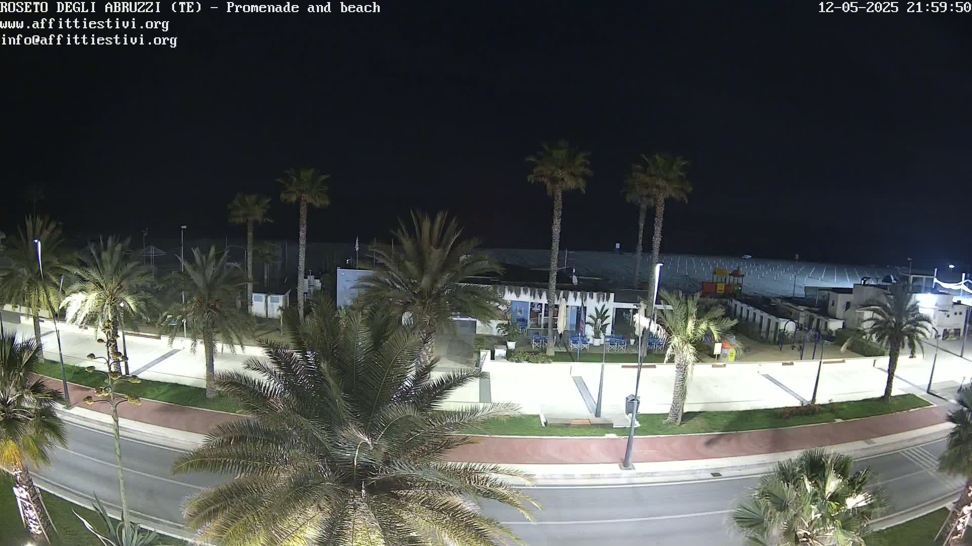 A nighttime, overhead view of a beach promenade with palm trees lining a roadway next to a mostly empty beach.