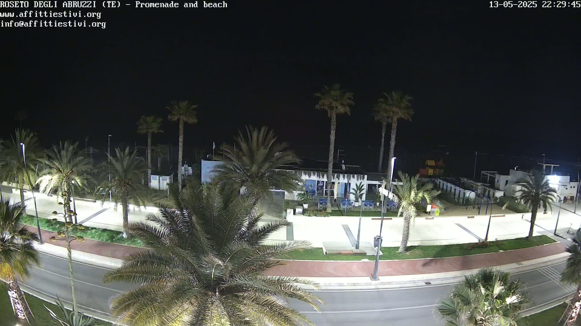 A nighttime, overhead view of a beachside promenade lined with palm trees, featuring a road, beach area, and some buildings.
