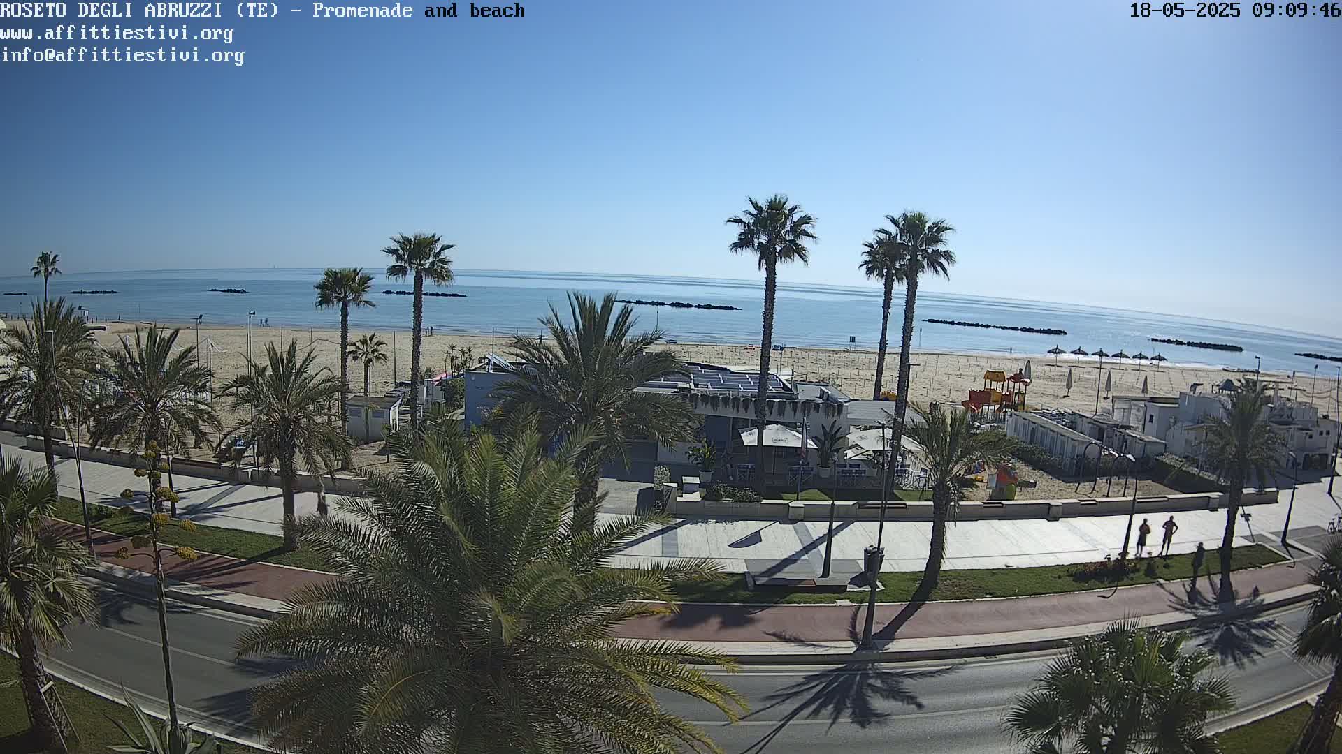 A sunny day overlooking a beach with palm trees lining a promenade and a calm ocean.