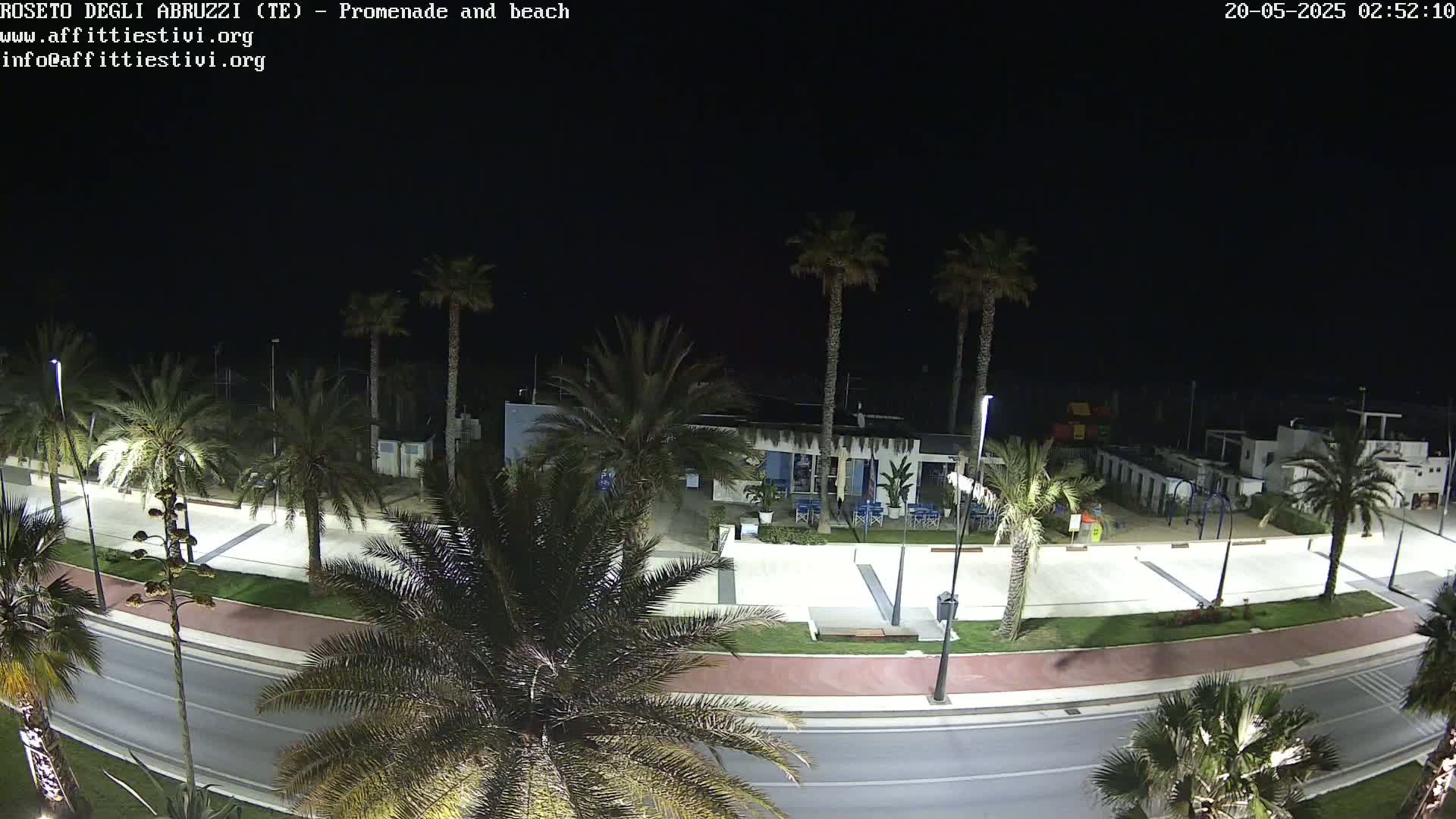 A nighttime, overhead view shows a seaside promenade with palm trees lining a paved walkway and road next to a beach.