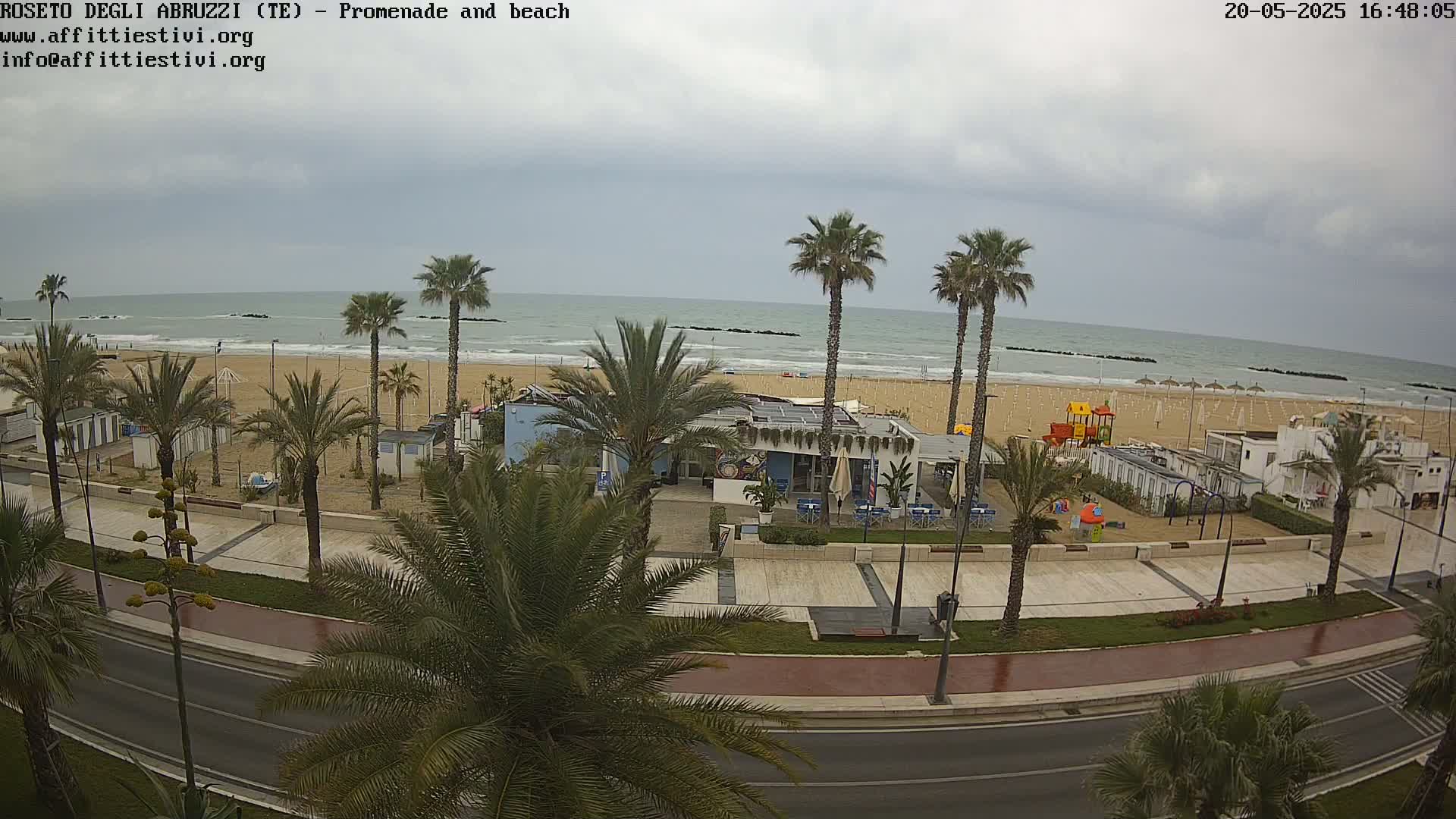 A beach with palm trees and a promenade is shown on an overcast day.
