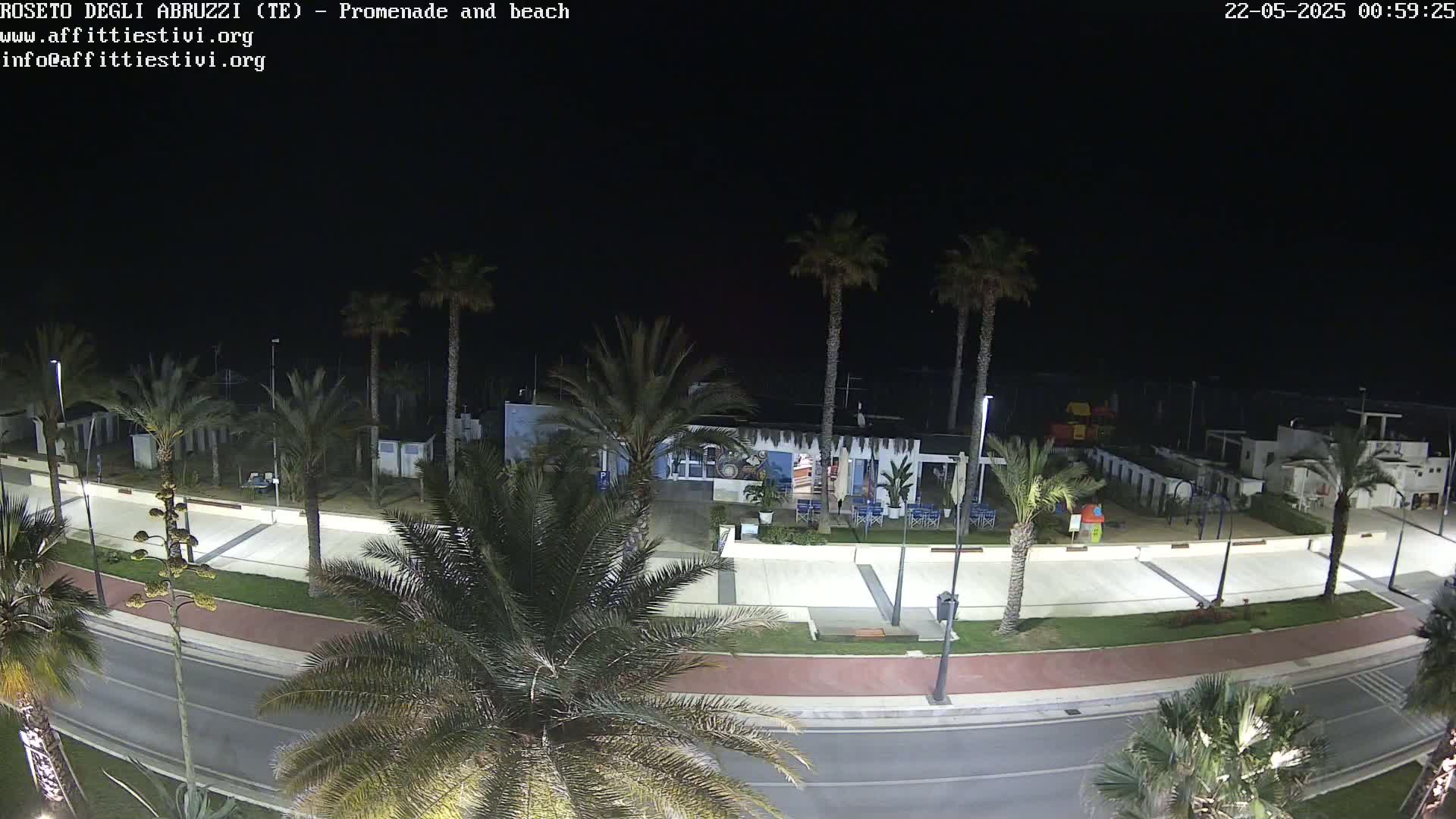 A nighttime view of a seaside promenade and beach, lined with palm trees and illuminated by streetlights under a clear, dark sky.