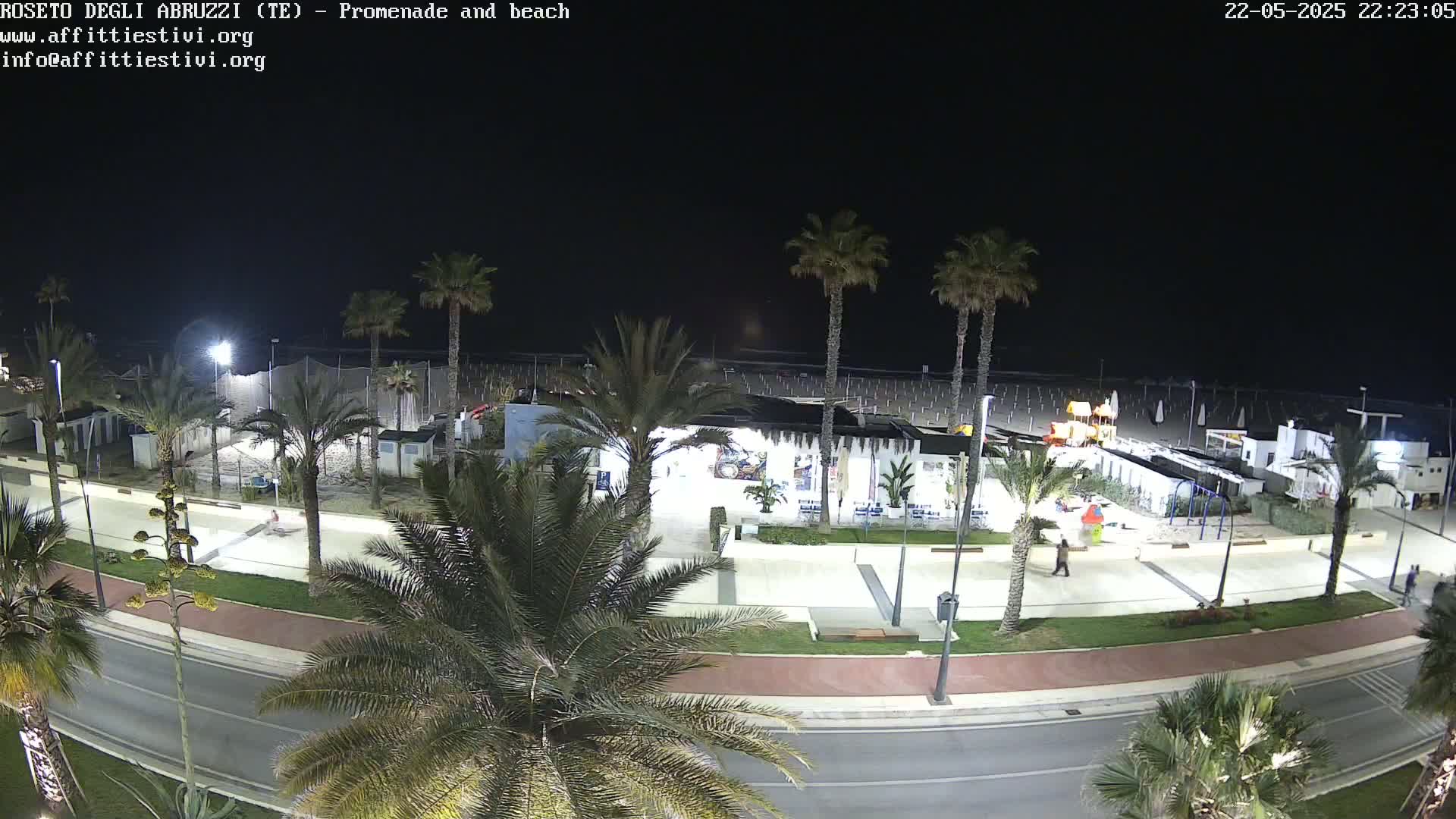 A nighttime, overhead view of a beach promenade with palm trees lining a roadway next to a beach with some beachfront buildings and a playground.