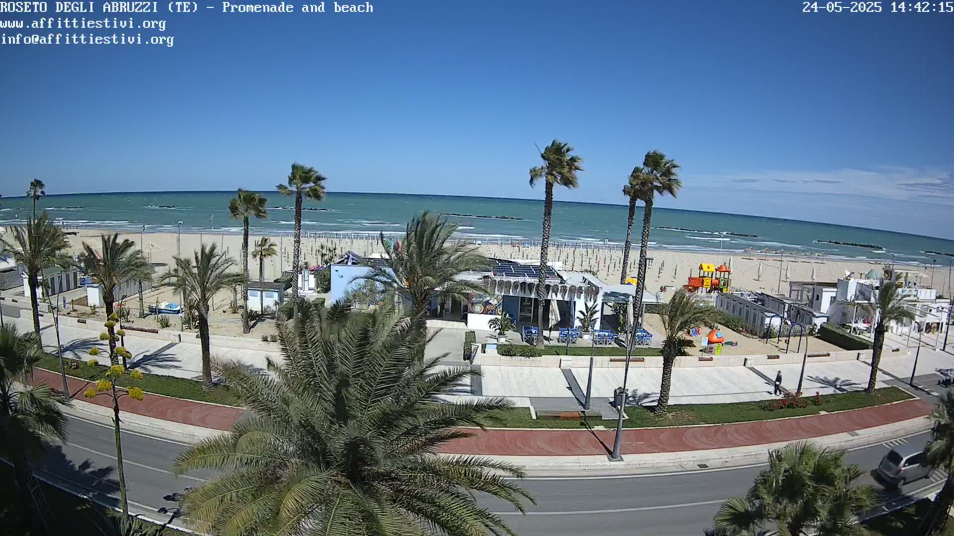 A sunny day at a beachside promenade shows palm trees lining a paved walkway next to a sandy beach with a calm ocean under a clear blue sky.