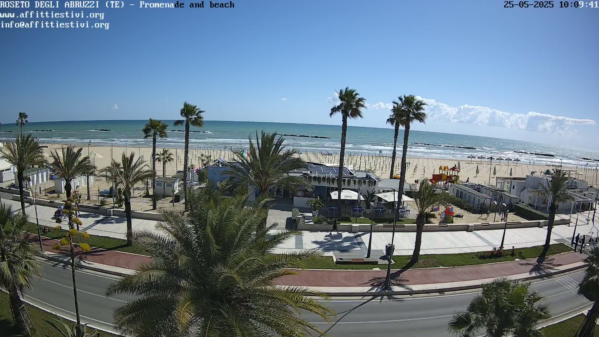 A sunny day at a beach, showing palm trees lining a promenade next to a sandy beach with calm ocean waves.