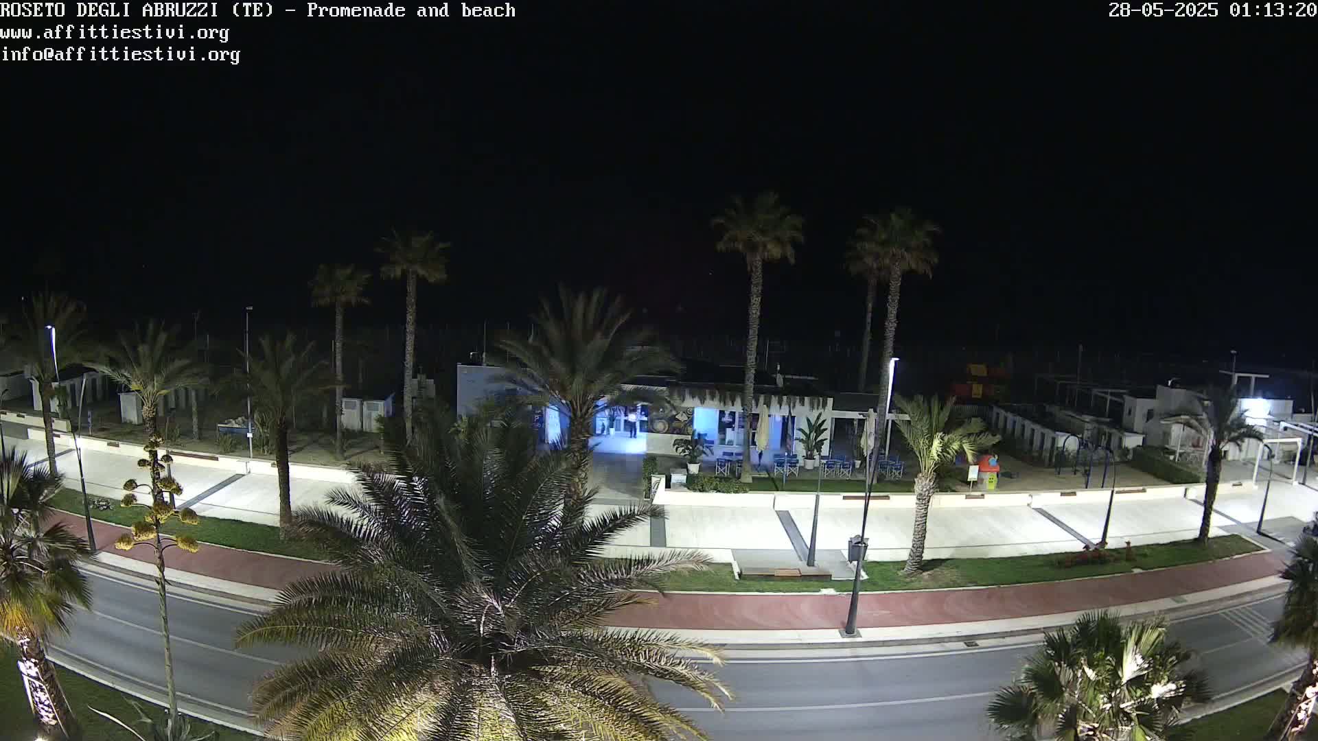 A nighttime view of a seaside promenade lined with palm trees, featuring a building with lights on, and a road.