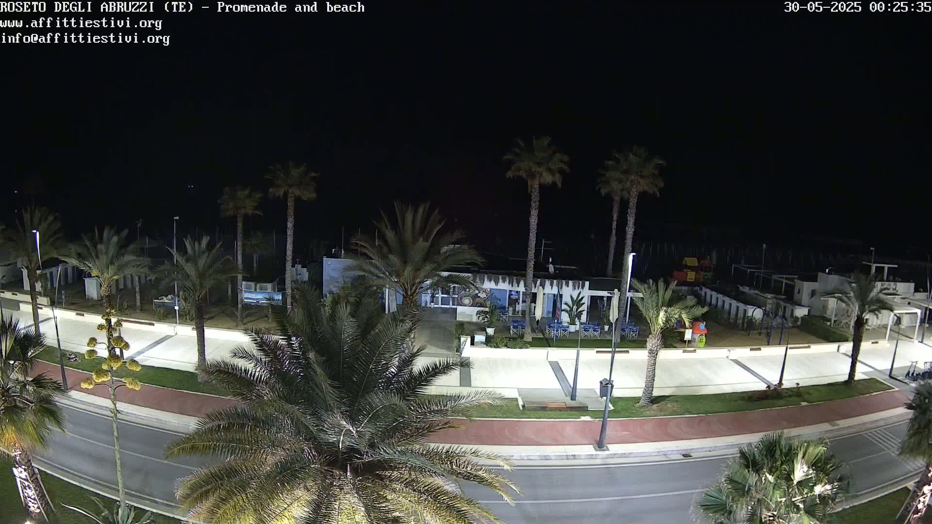 A nighttime, overhead view of a seaside promenade lined with palm trees, featuring a paved walkway, a road, and a beach area with some buildings and playground equipment.