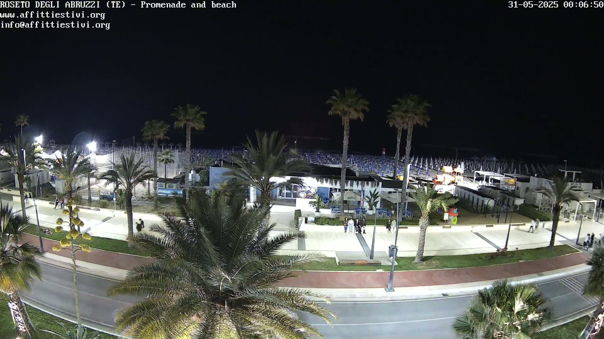 A nighttime, overhead view of a beach promenade and beach, lined with palm trees, under a clear, dark sky.