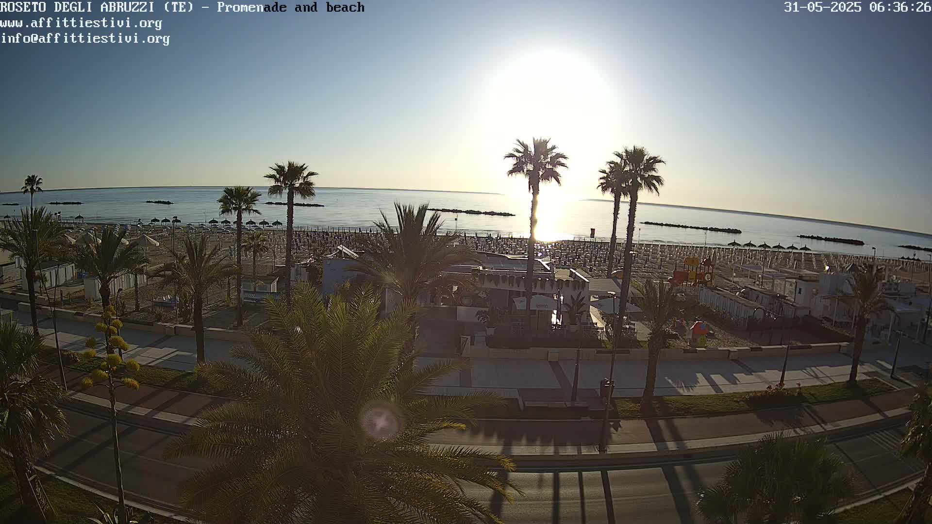A sunny morning view of a beach with rows of umbrellas, palm trees lining a promenade, and a calm sea.