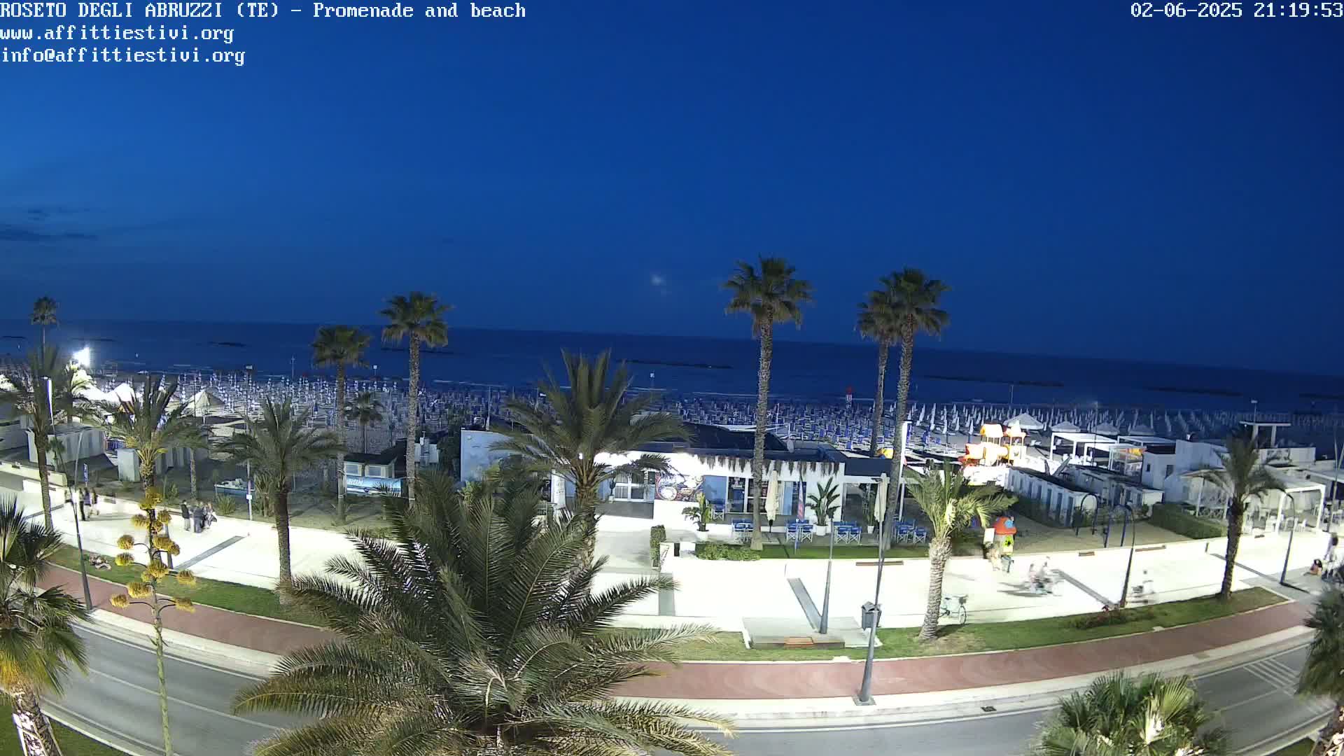 A beach at night, under a clear, dark blue sky, is lined with palm trees and beach umbrellas, with a promenade and road running along it.