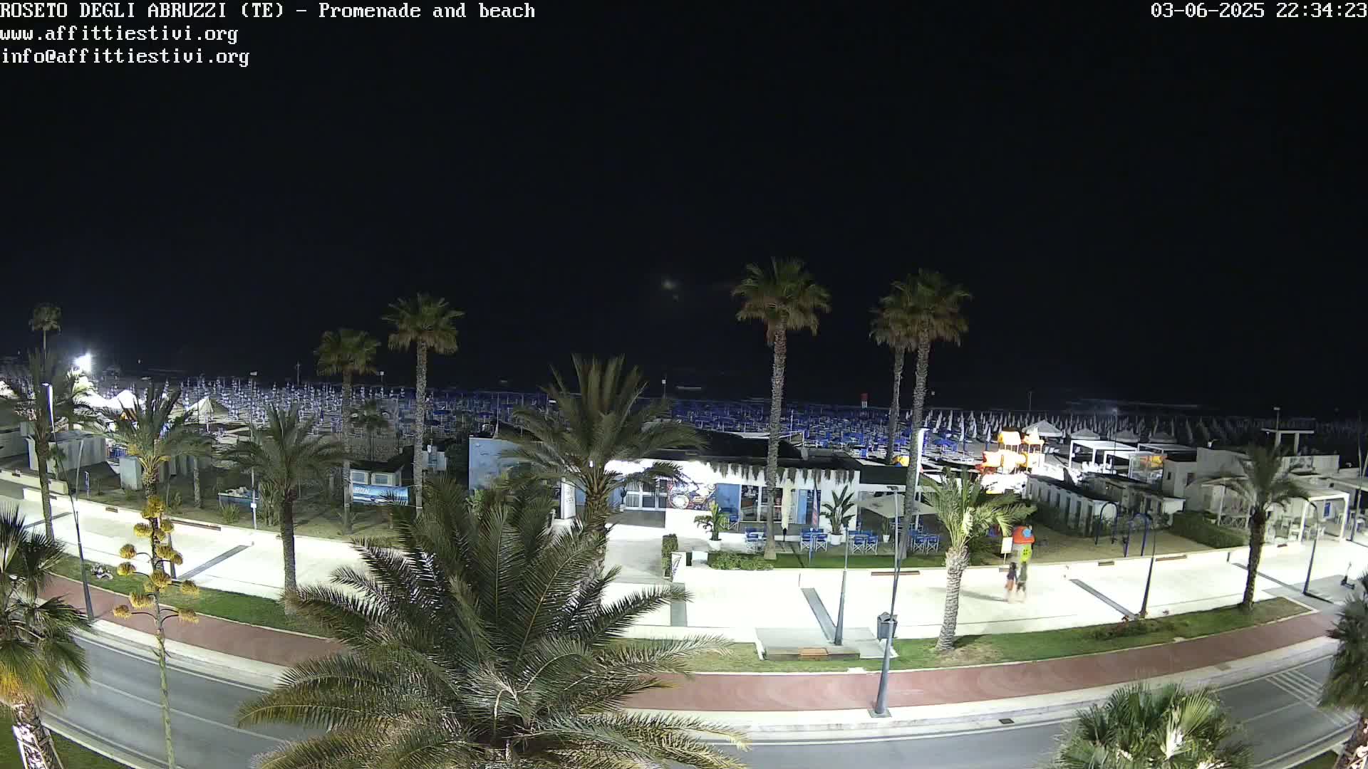 A nighttime view of a beach promenade lined with palm trees, beach umbrellas, and a few buildings under a clear, dark sky.