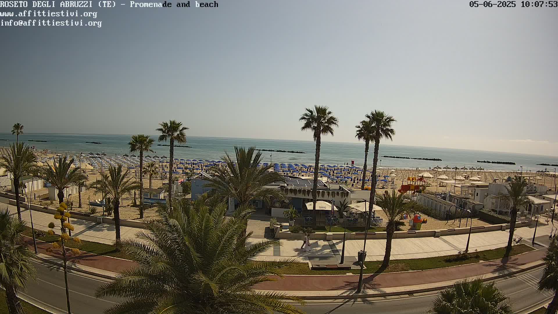 A beach scene on a sunny day shows a sandy beach with numerous blue beach umbrellas, palm trees lining a paved promenade next to the beach, and a calm ocean in the background.