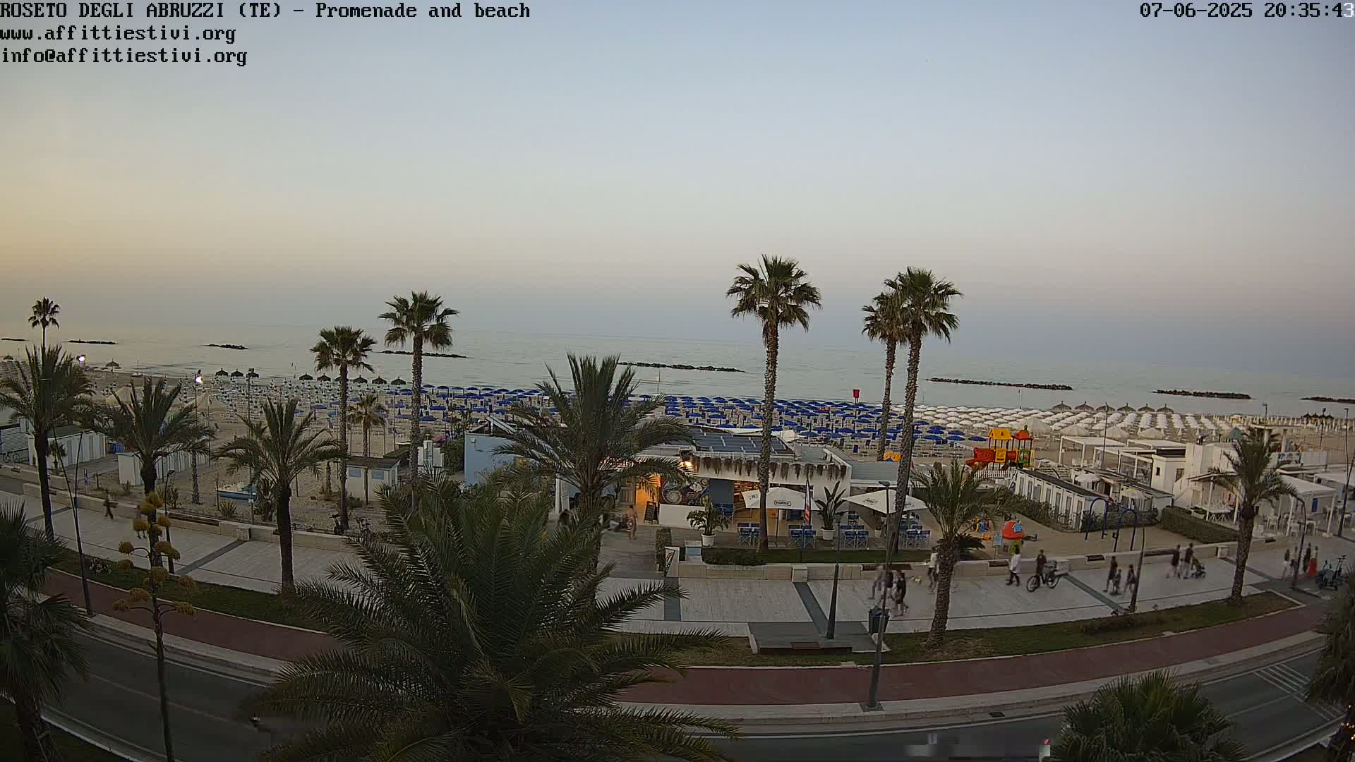 A beach with numerous umbrellas and palm trees along a promenade, under a dusky sky.