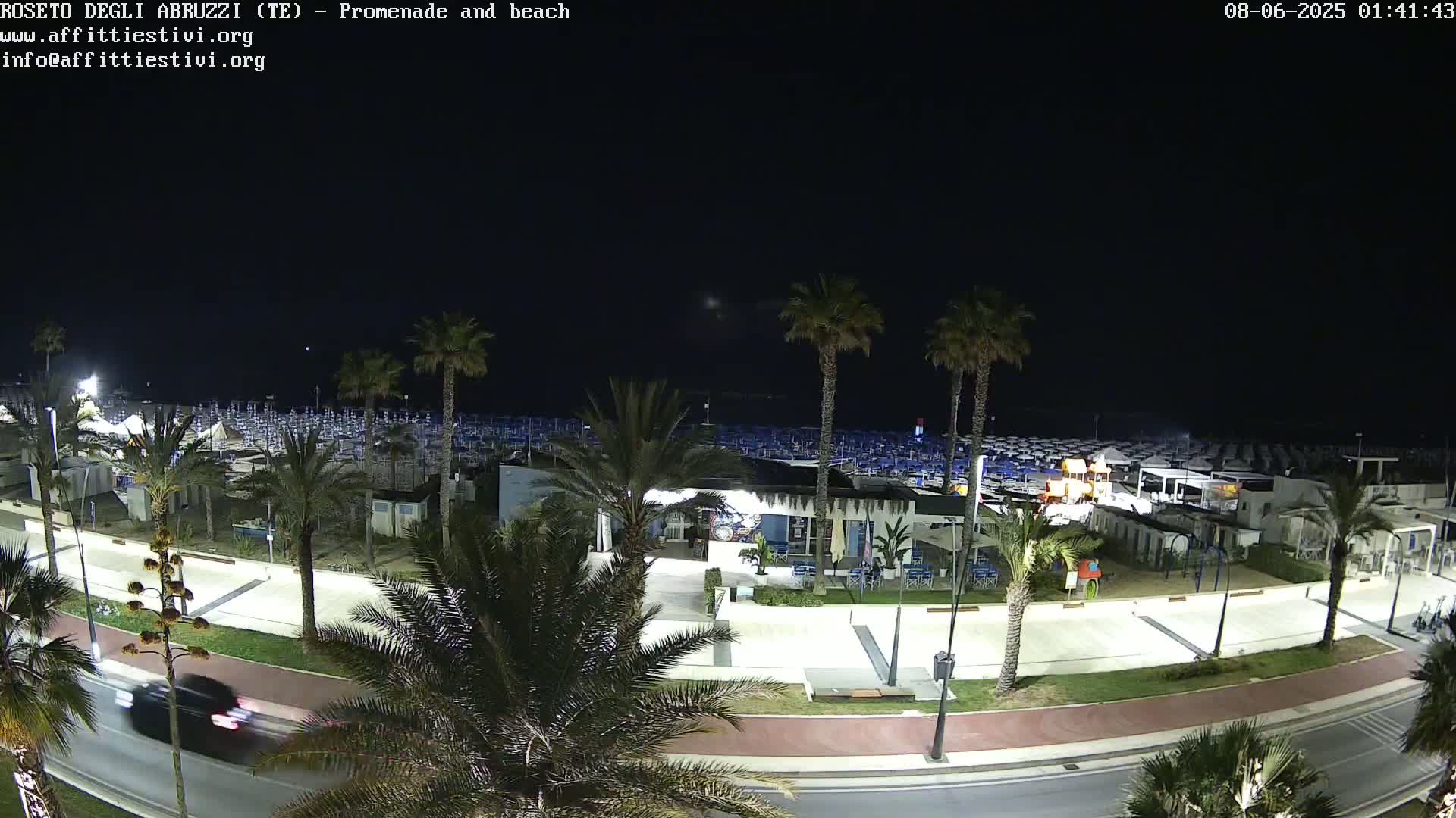A nighttime view of a beach promenade lined with palm trees, showing a mostly empty beach with rows of beach umbrellas and chairs under a clear, dark sky.