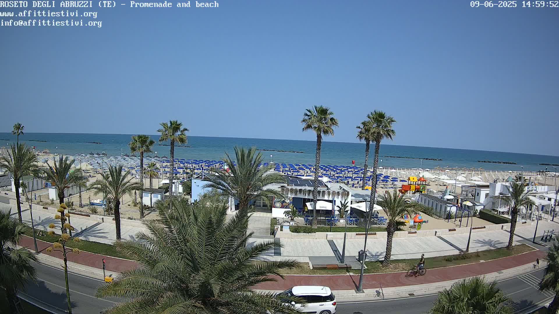 A beach with numerous blue umbrellas and beach chairs, palm trees lining a promenade next to a road with a car and a cyclist, under a clear blue sky.