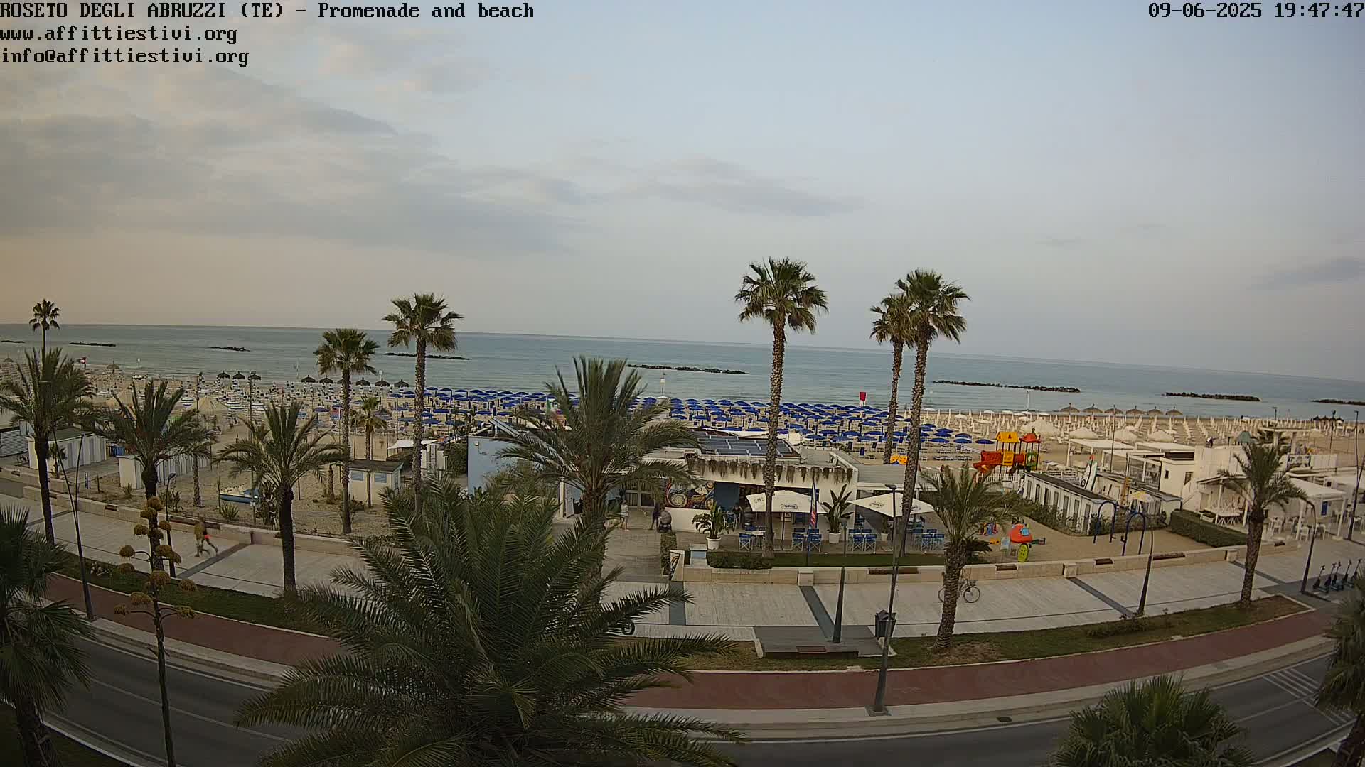 An overcast day reveals a beach scene with numerous blue beach umbrellas, palm trees lining a promenade next to a road, and a calm sea in the background.
