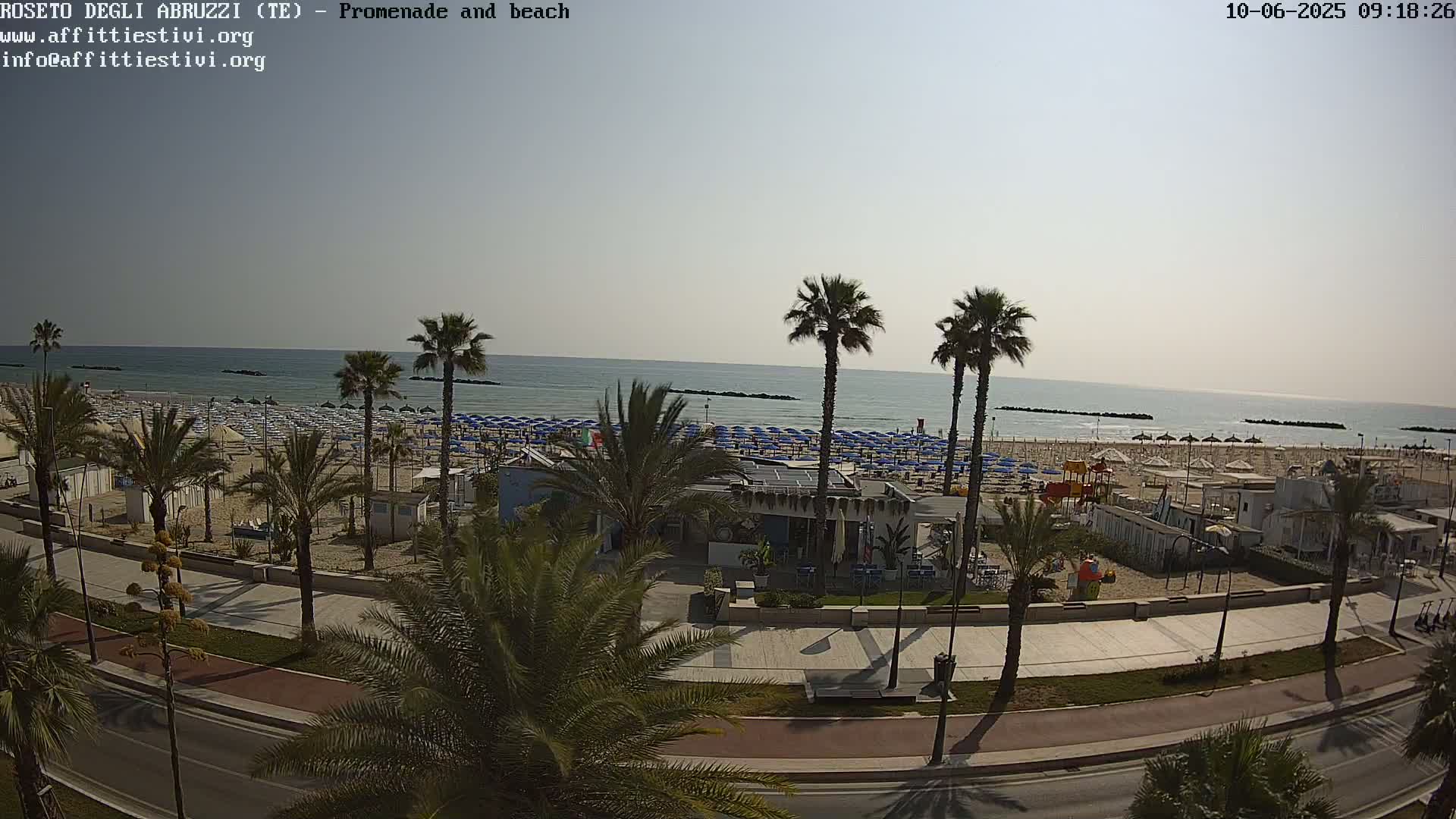 A sunny beach scene shows a calm ocean, rows of beach umbrellas, palm trees lining a paved promenade, and a beachfront building with outdoor seating.