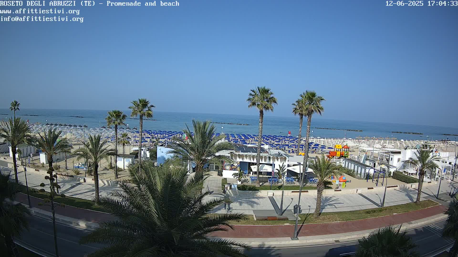 A beach with numerous blue umbrellas and palm trees, under a clear blue sky, is shown from an elevated viewpoint, overlooking a promenade and road.