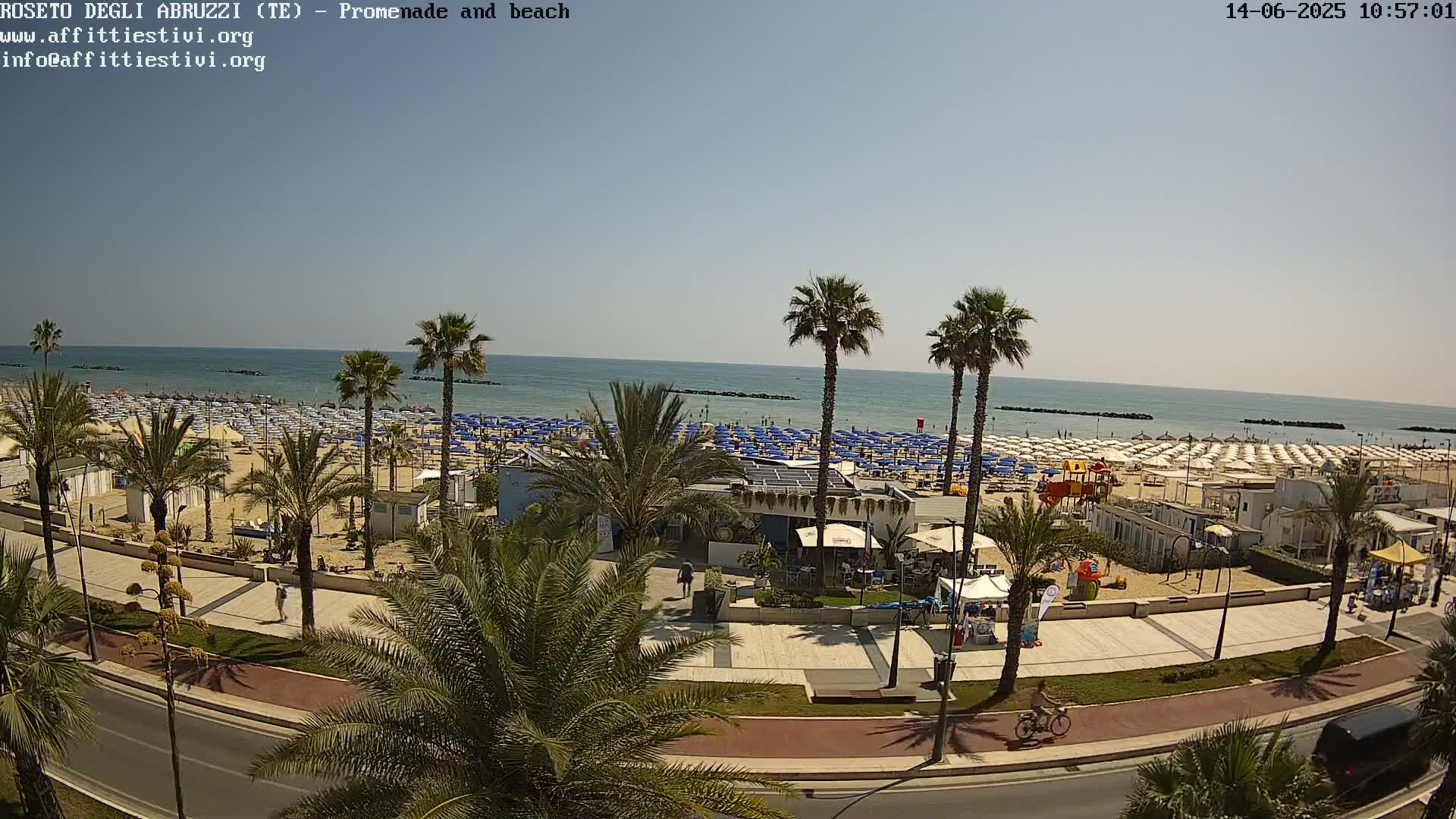 A sunny day at a beach with numerous umbrellas and palm trees lining a paved promenade, and a road beyond.