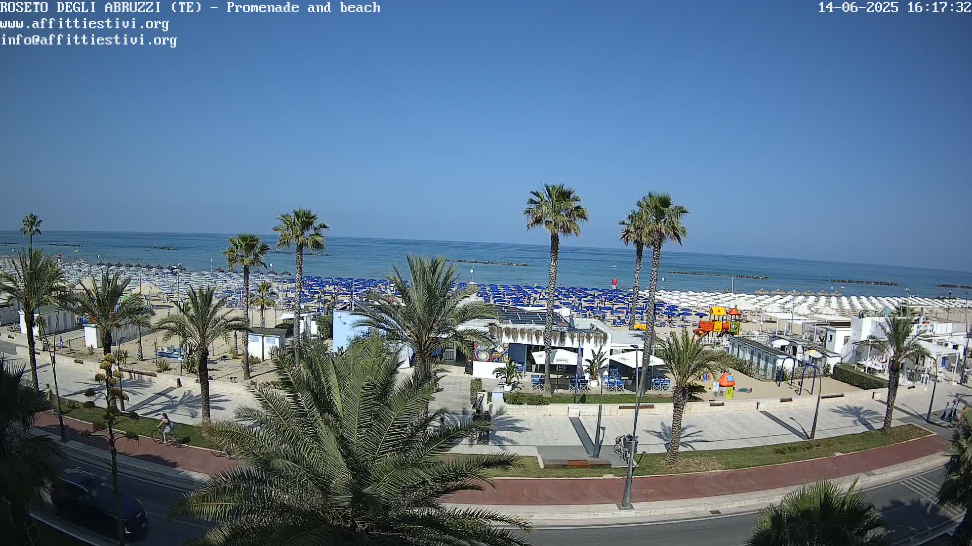 A sunny beach scene with numerous blue and white beach umbrellas, palm trees lining a promenade, and a calm ocean in the background.