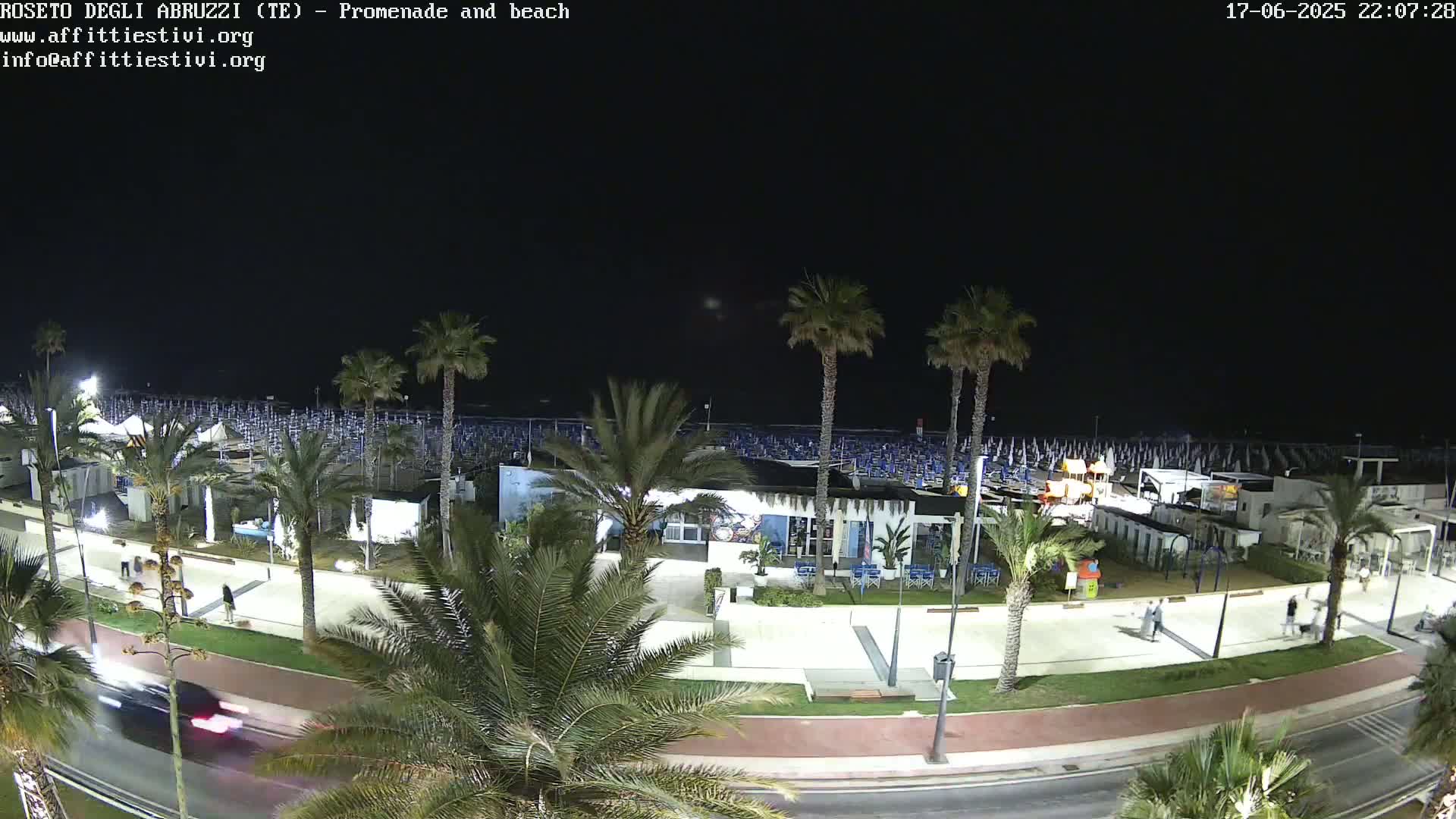 A nighttime view of a beach promenade lined with palm trees, beach chairs, and some buildings, under a clear dark sky.