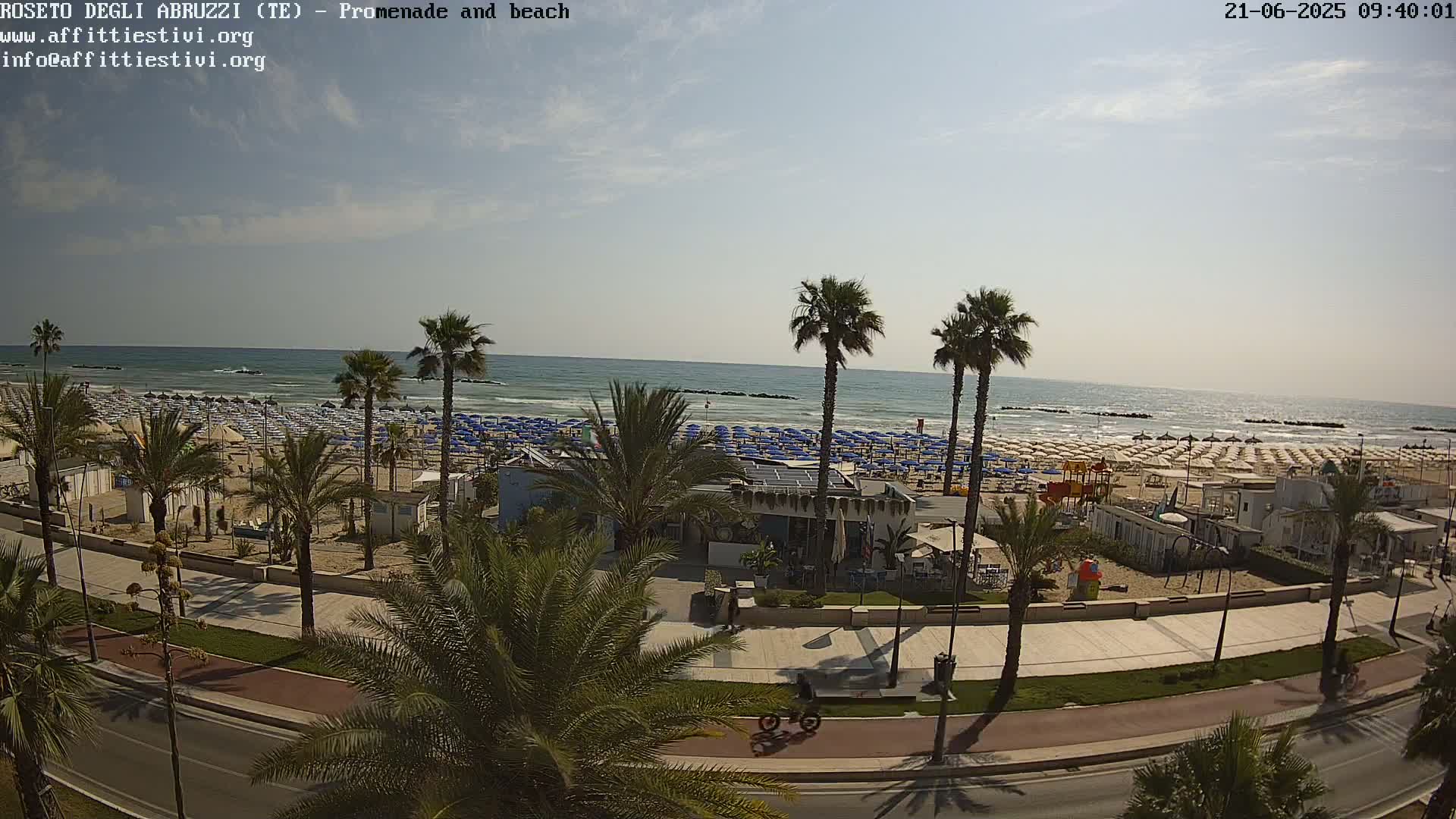 A beach scene with numerous beach umbrellas and palm trees lining a promenade on a sunny day.