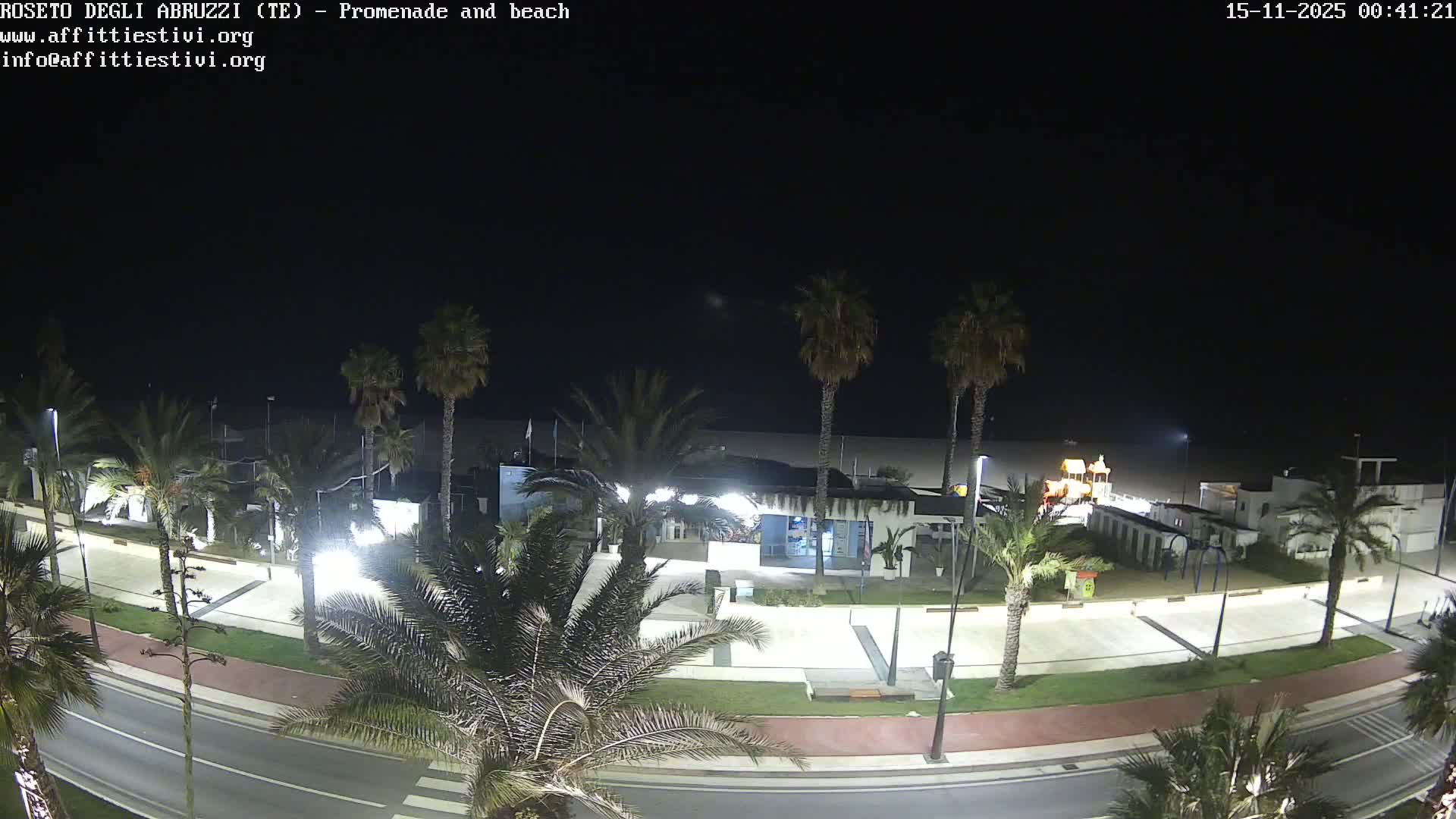 A clear night view reveals a brightly lit coastal promenade adorned with numerous palm trees, adjacent to a road and buildings, with the dark expanse of the sea visible in the distance.