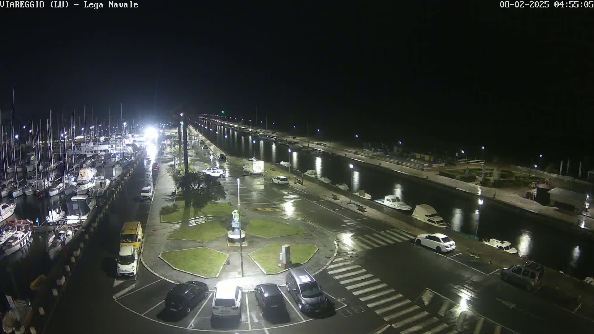 A nighttime, rain-slicked marina with numerous boats docked and cars parked along a paved waterfront.