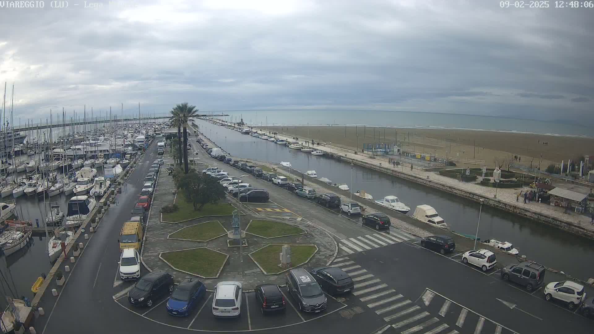 An overcast day reveals a harbor filled with boats, a canal lined with parked cars leading to a beach, and a palm tree in the foreground.