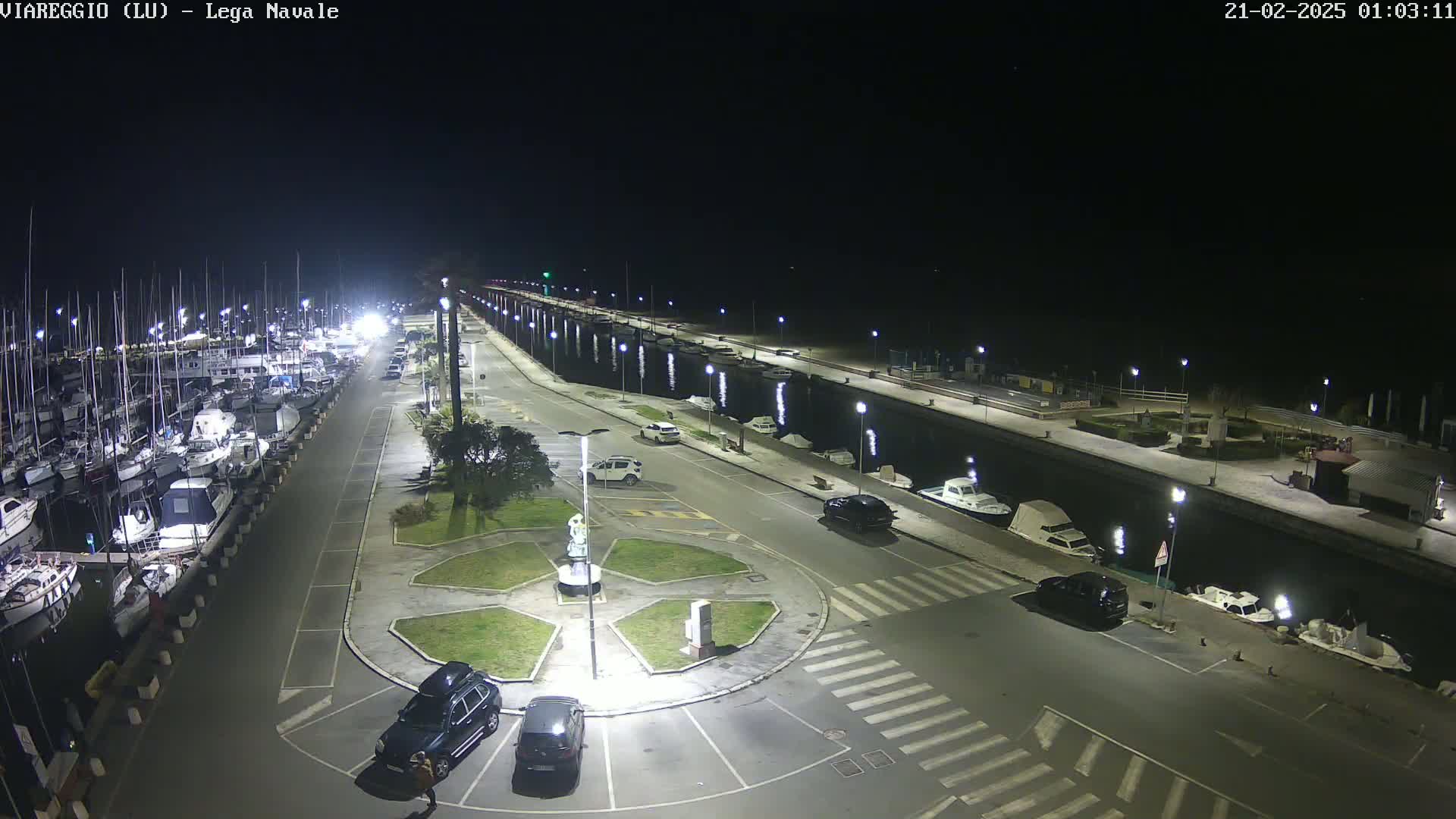 A nighttime aerial view of a marina with docked boats, a roadway with parked cars, and a circular plaza featuring a statue, all under a clear, dark sky.