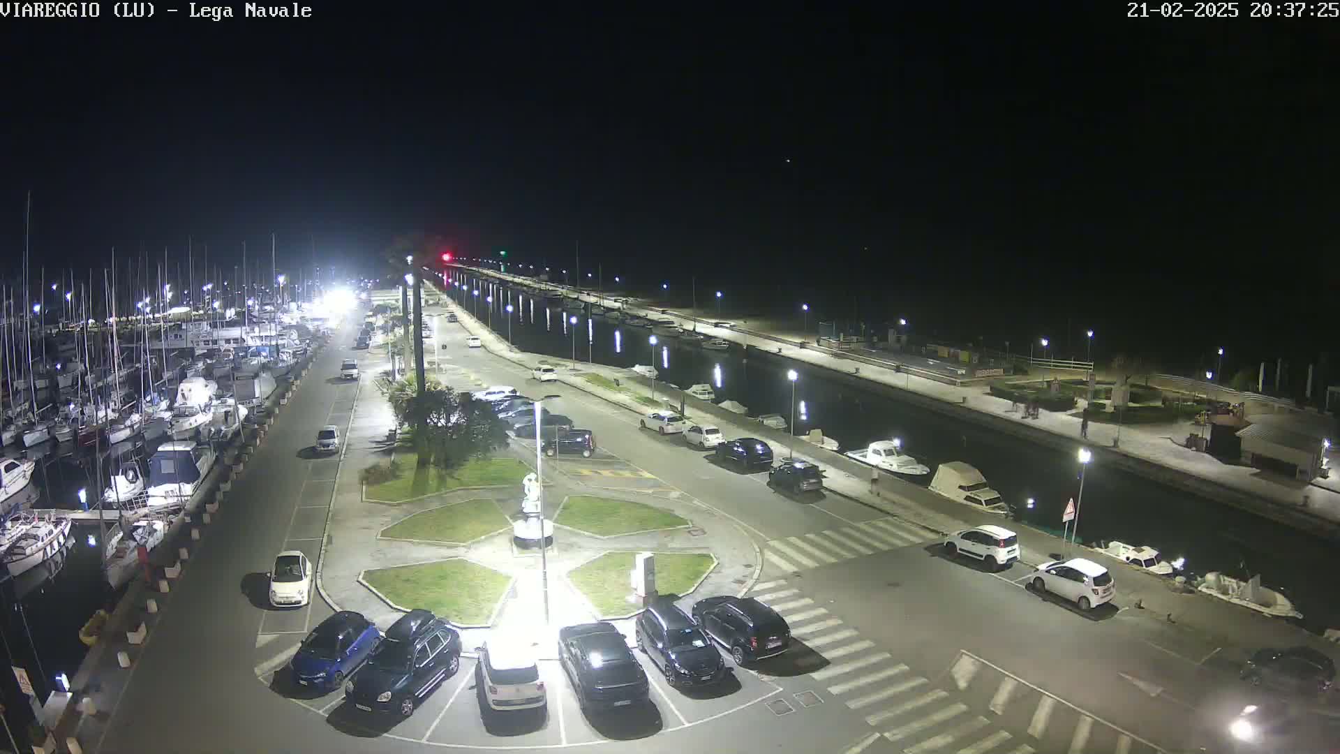 A nighttime aerial view of a marina with numerous boats docked, cars parked in a lot adjacent to the water, and streetlights illuminating the scene.