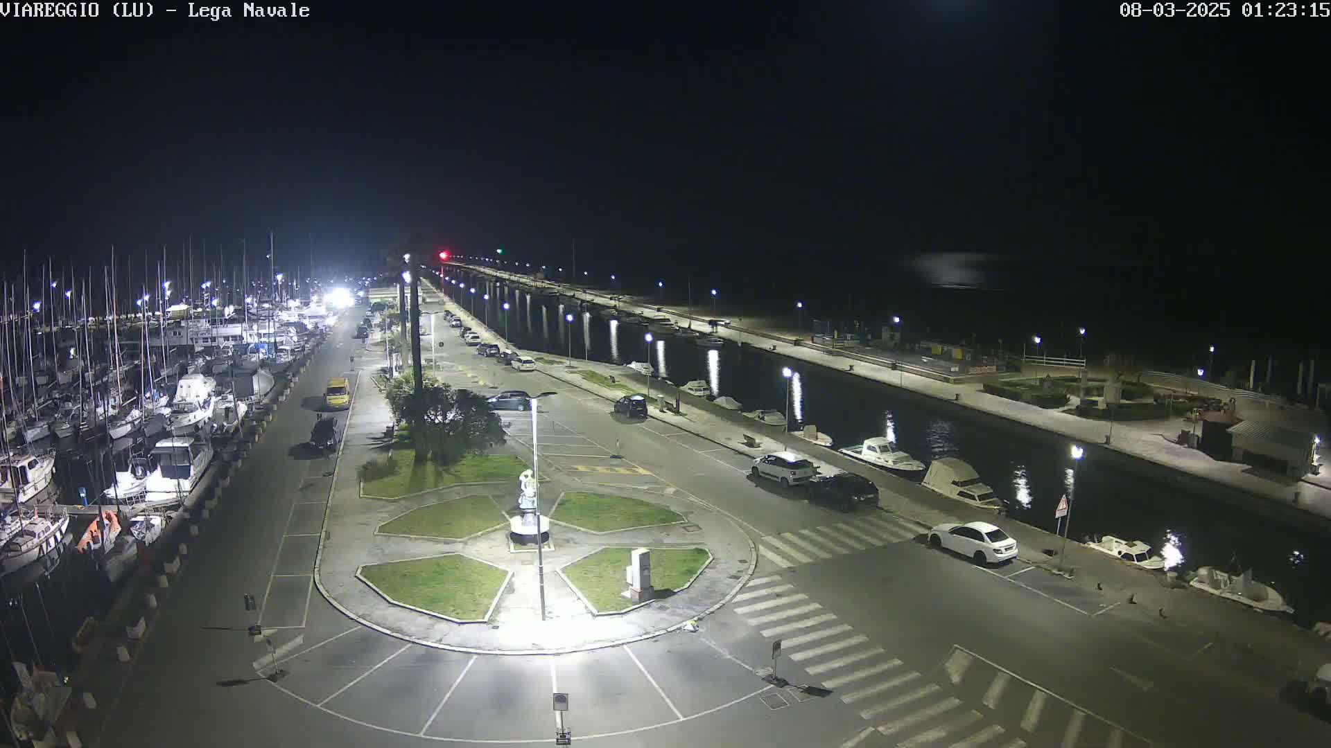 A nighttime view of a marina with numerous boats docked, a roadway with parked cars, and a circular plaza in the foreground, under a dark, clear sky.