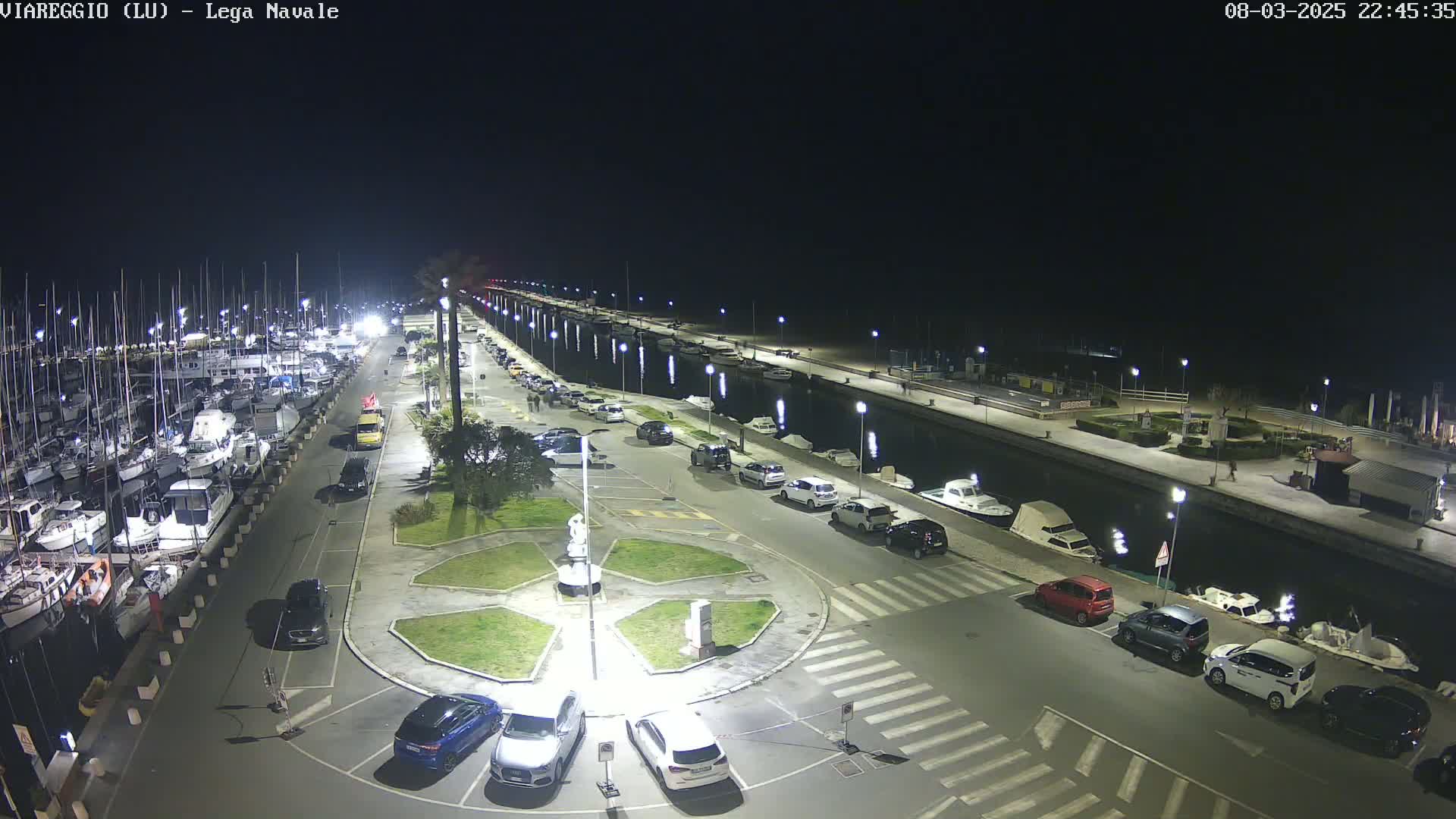 A nighttime aerial view of a marina with numerous boats docked, a canal, and a surrounding area with parked cars and streetlights.