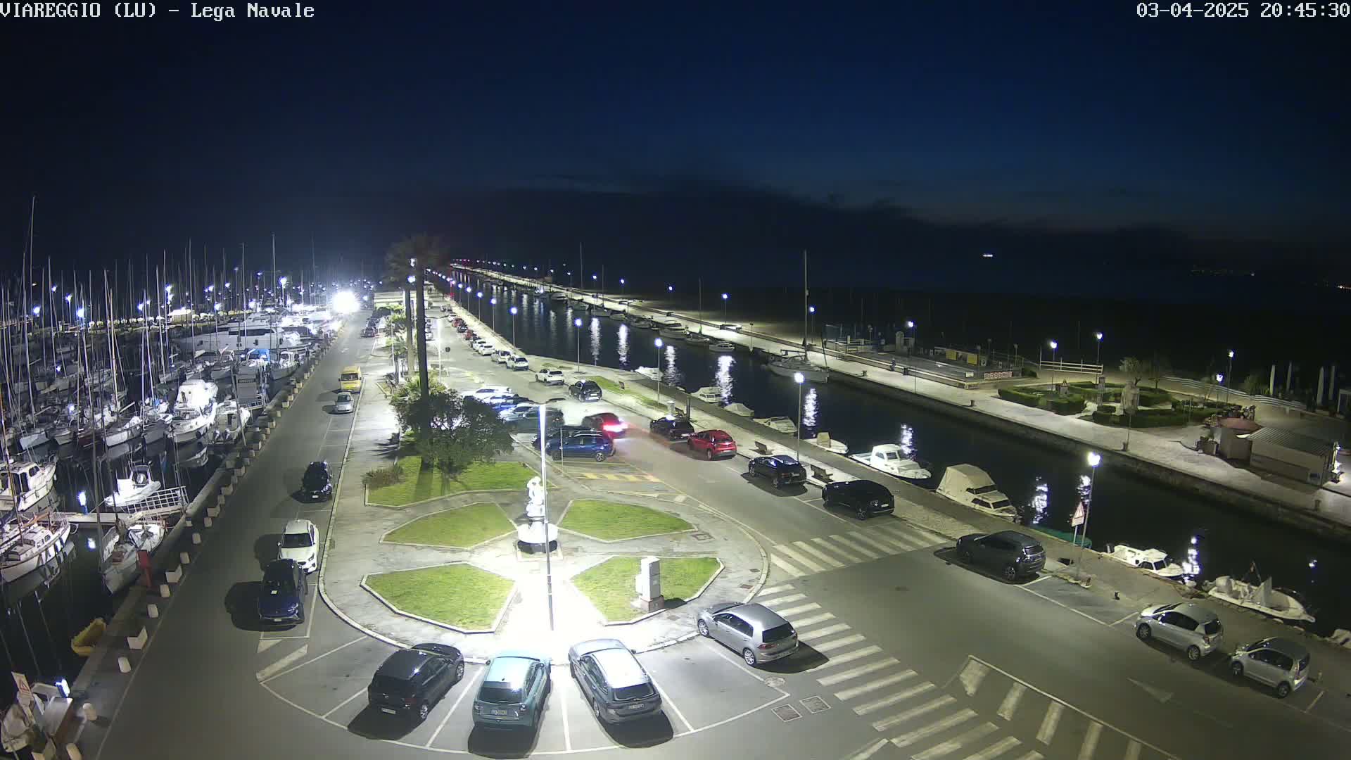 A marina at night, illuminated by streetlights, with numerous boats docked and cars parked along a waterfront road.