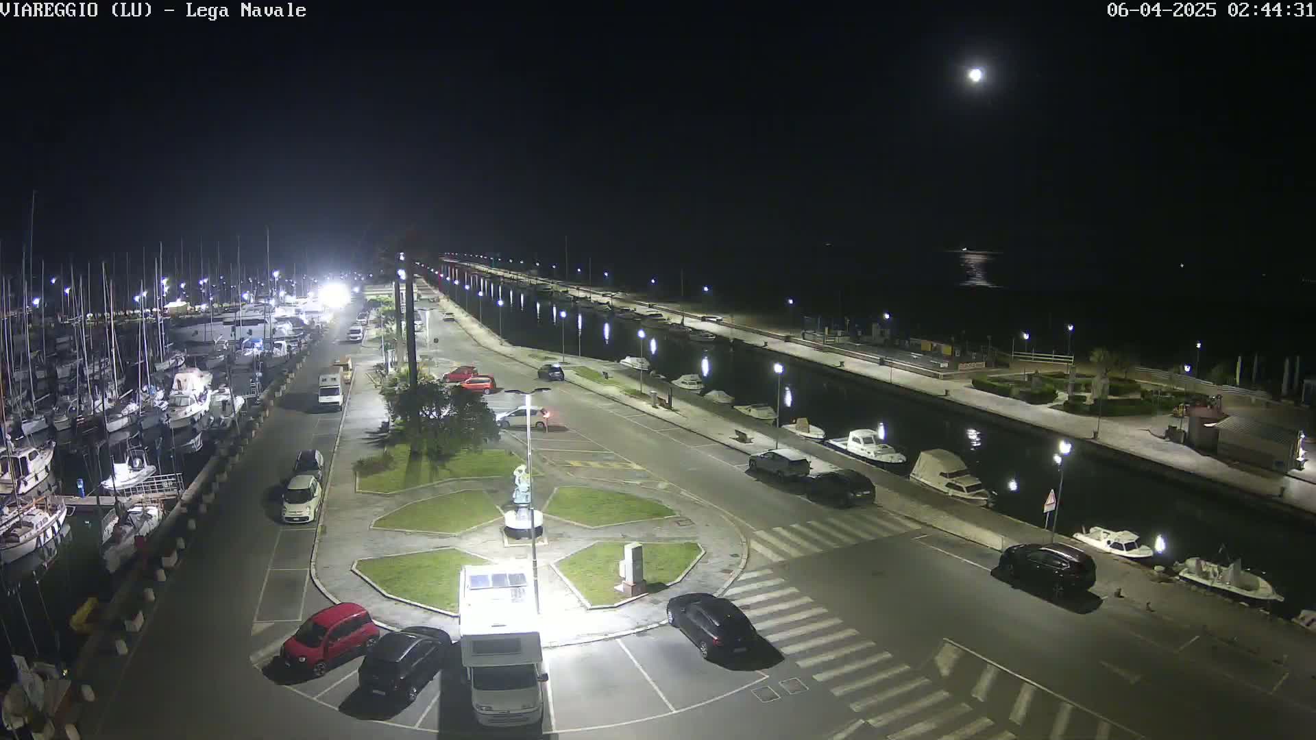 A nighttime view of a marina with numerous boats docked, cars parked in a lot, and a calm body of water under a bright moon.