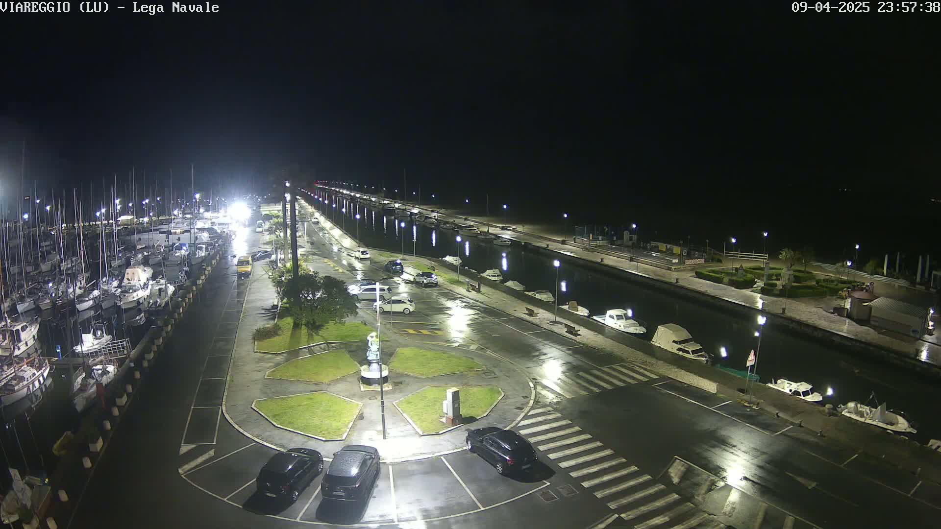 A wet, nighttime marina with docked boats, cars in a parking lot, and lights illuminating the scene.