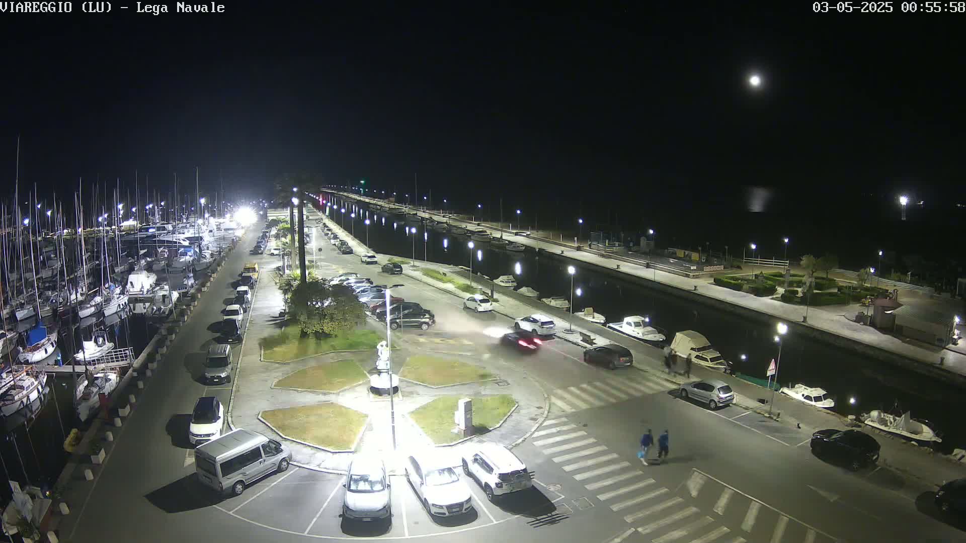 A nighttime view of a marina with parked cars and boats, under a clear sky with a visible moon.