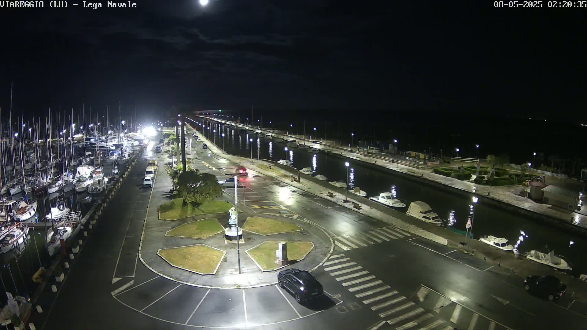 A nighttime view of a marina with numerous boats docked, a canal, and a wet roadway with a few cars, all under a moonlit sky.