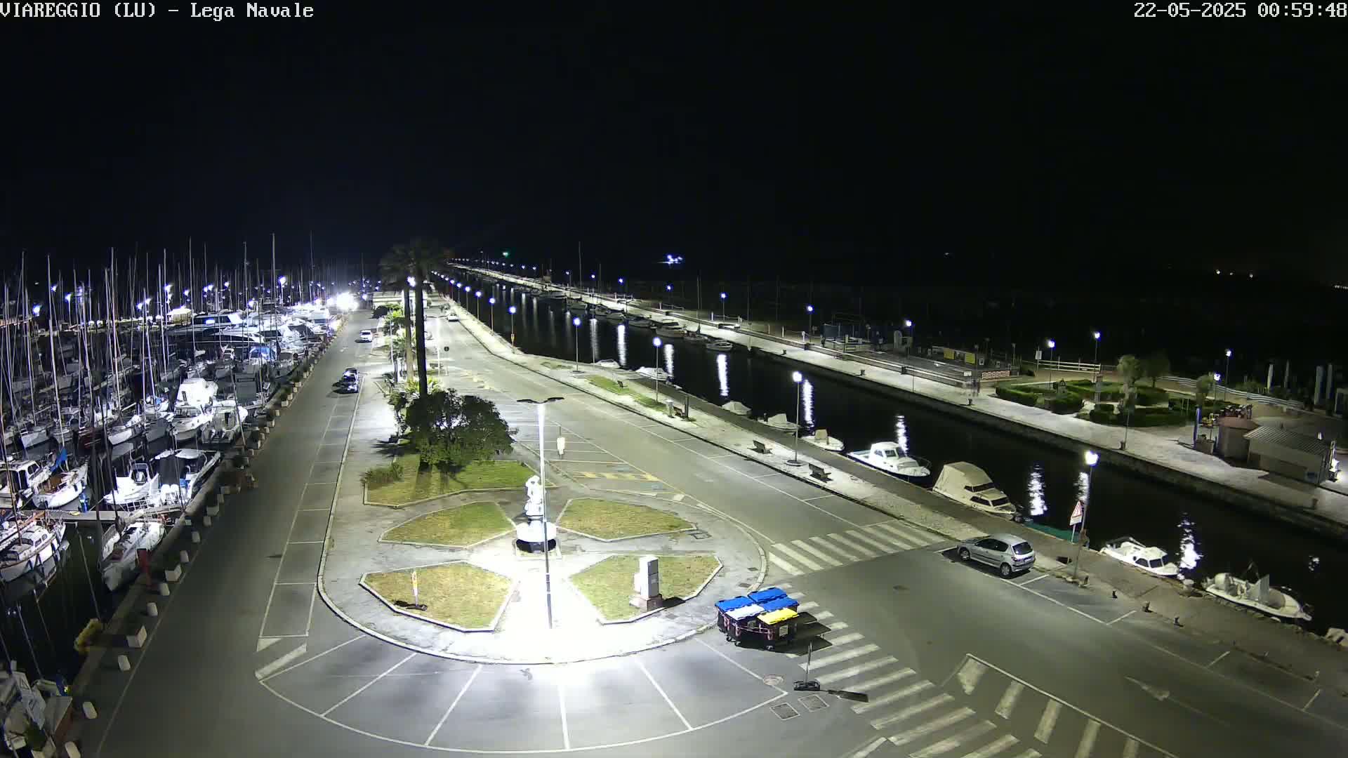 A nighttime aerial view of a marina with numerous boats docked, a paved road lined with lights, and a small plaza with a statue, under clear skies.