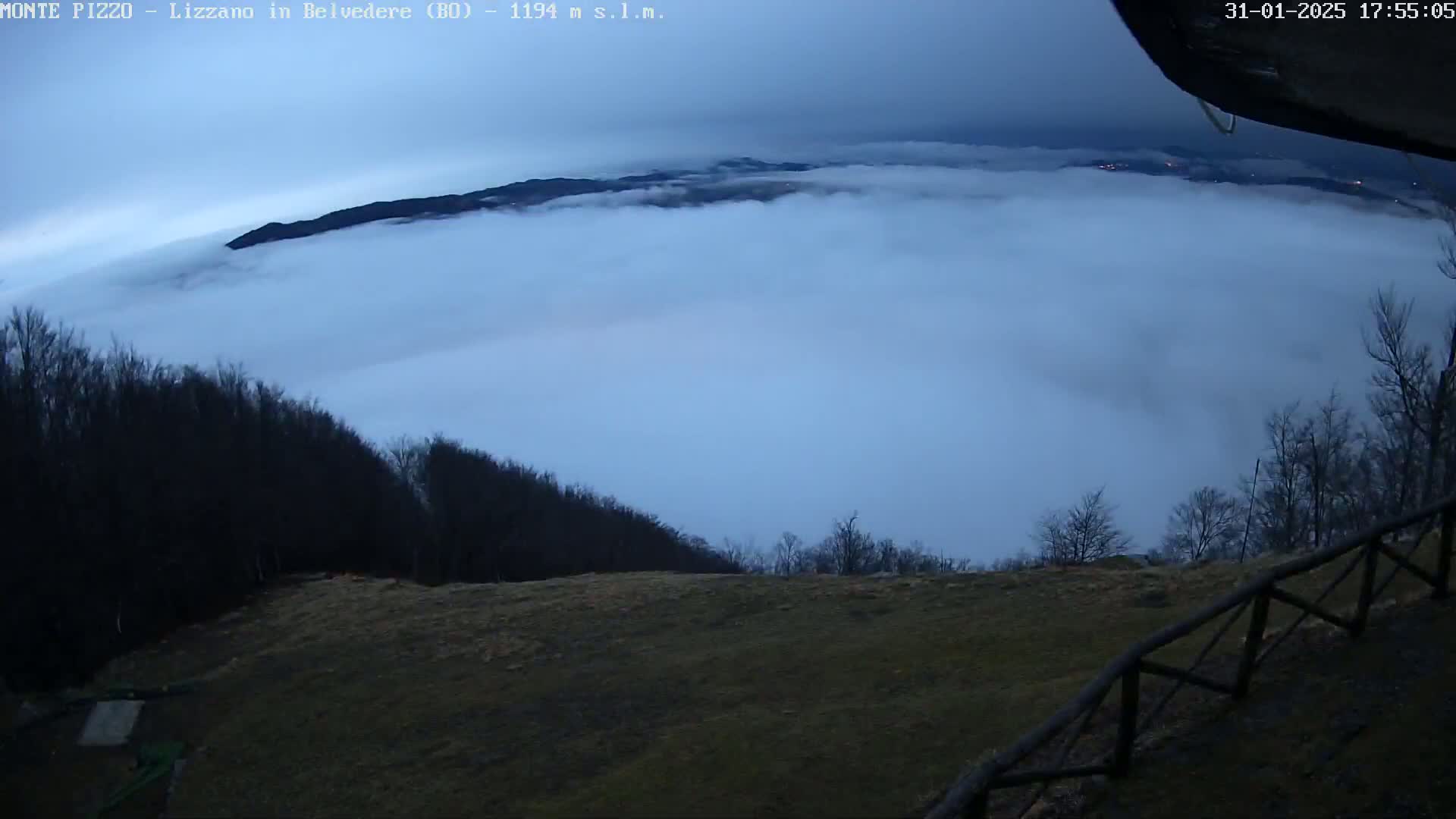 A view from a hilltop shows a thick layer of fog covering the valley below, with bare trees lining the foreground under a cloudy, dusky sky.