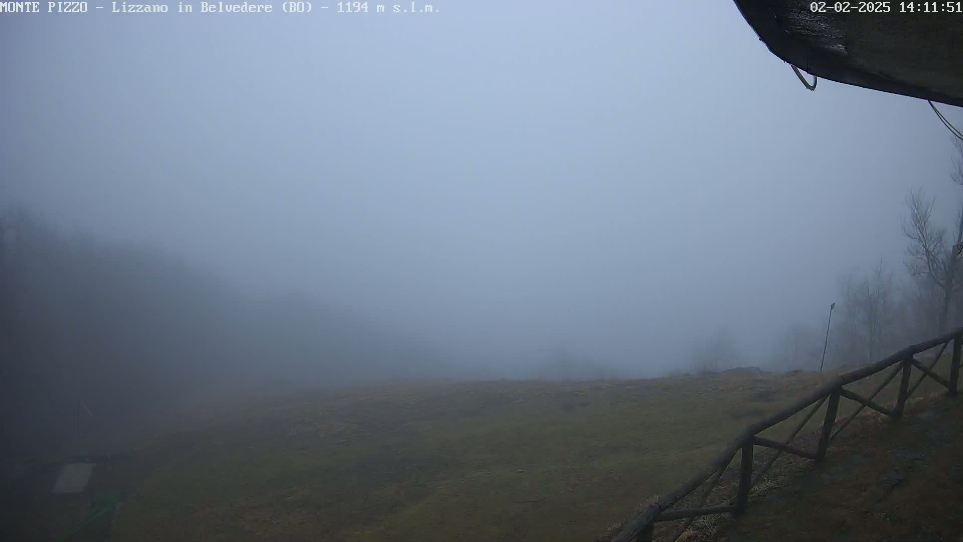 A foggy, flat, grassy field is visible beyond a wooden fence, with some bare trees faintly seen in the distance.