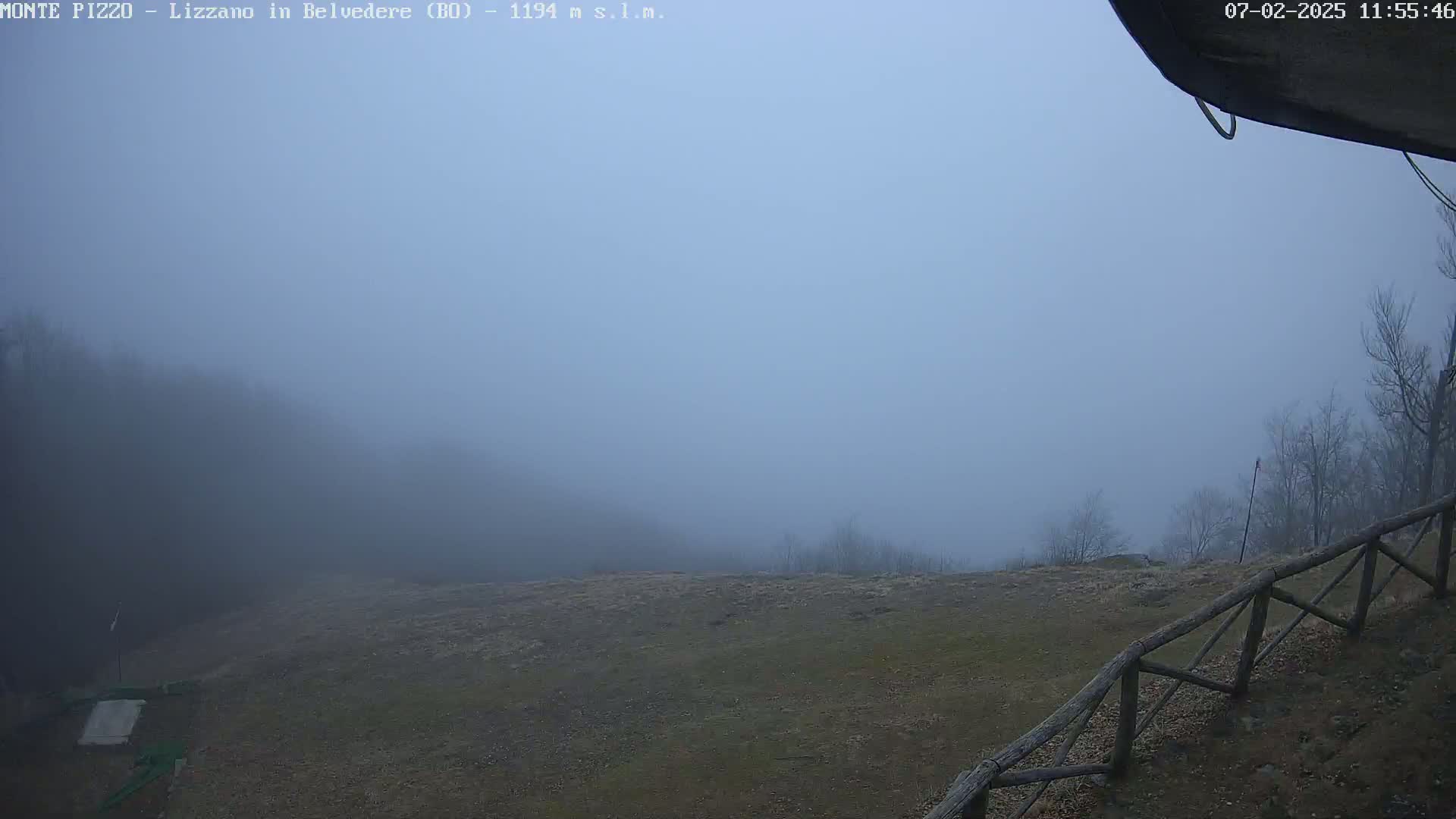 A foggy, outdoor scene shows a sparsely vegetated field and a wooden fence, with a few bare trees and hazy hills in the background.