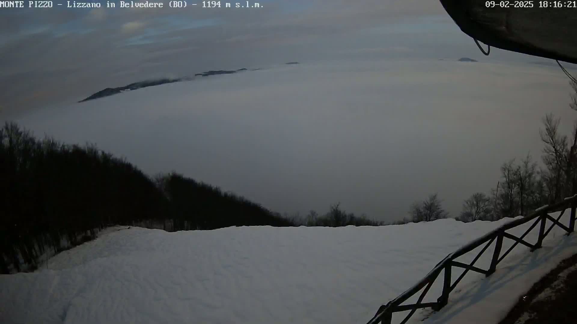 A snow-covered landscape is shrouded in fog, with dark trees lining the foreground and a distant, hazy mountain range visible through the thick mist.