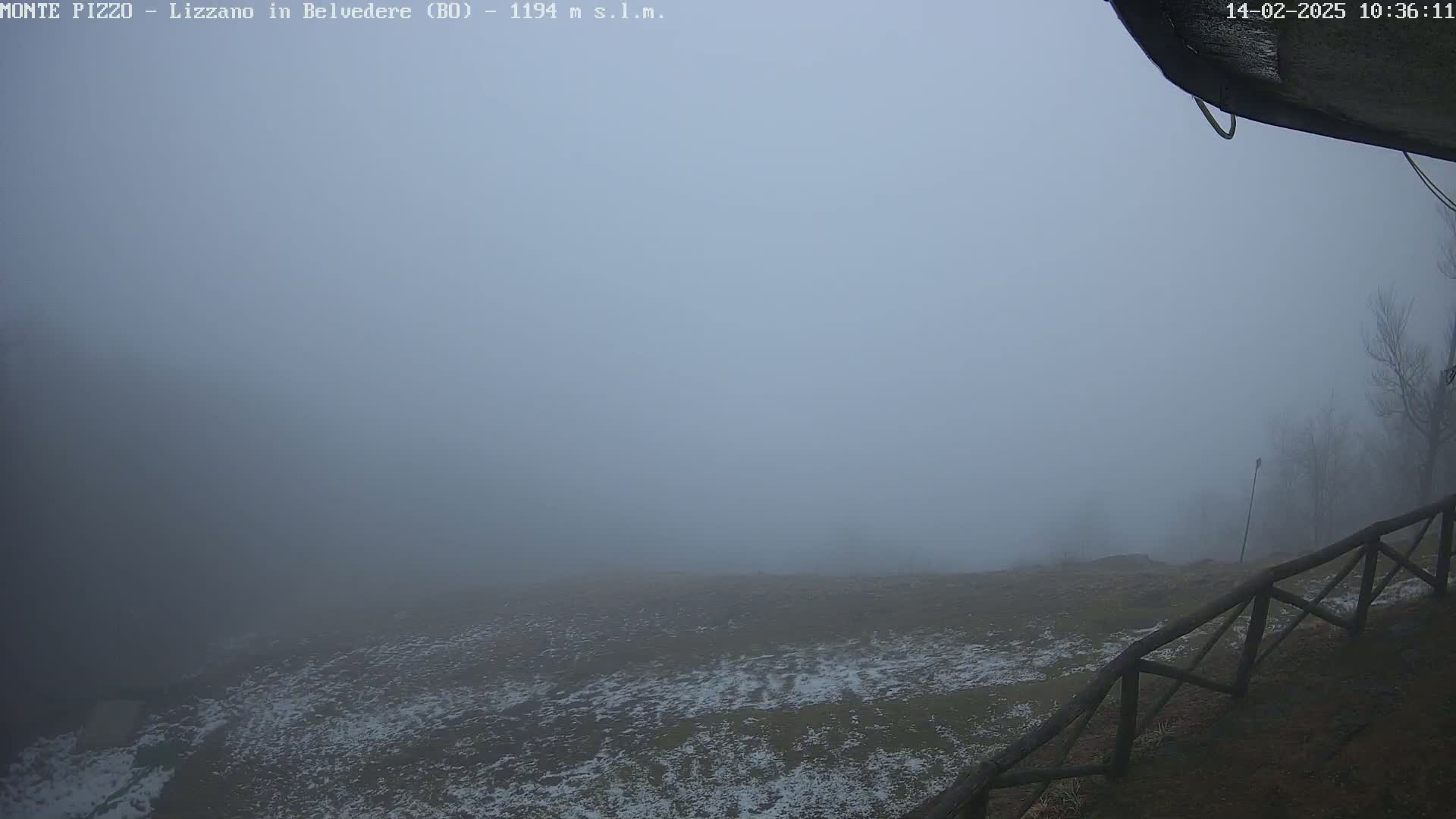 A foggy, snow-dusted field is visible beyond a wooden fence, with bare trees barely visible in the distance.