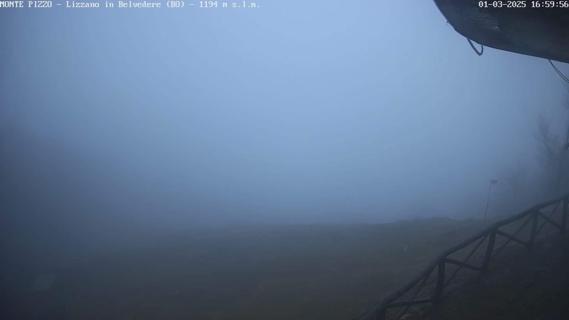 A thick fog obscures a flat, grassy landscape and a wooden fence in the foreground.